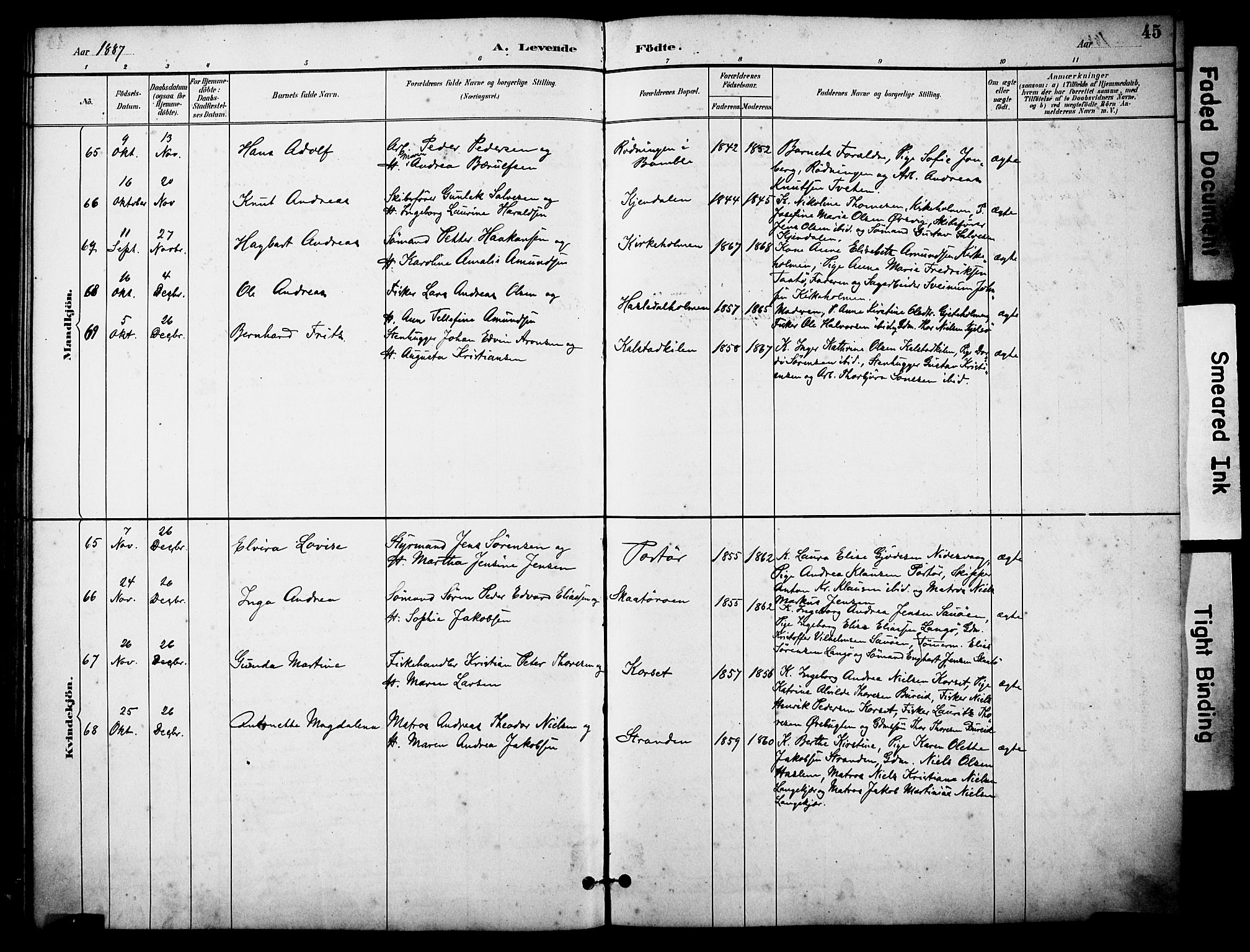 Skåtøy kirkebøker, SAKO/A-304/F/Fa/L0002: Parish register (official) no. I 2, 1884-1899, p. 45