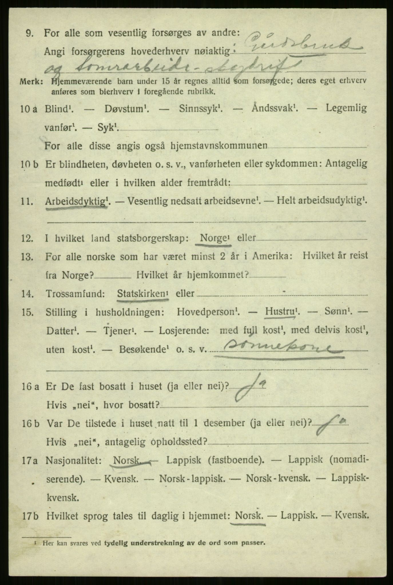 SATØ, 1920 census for Nordreisa, 1920, p. 3252