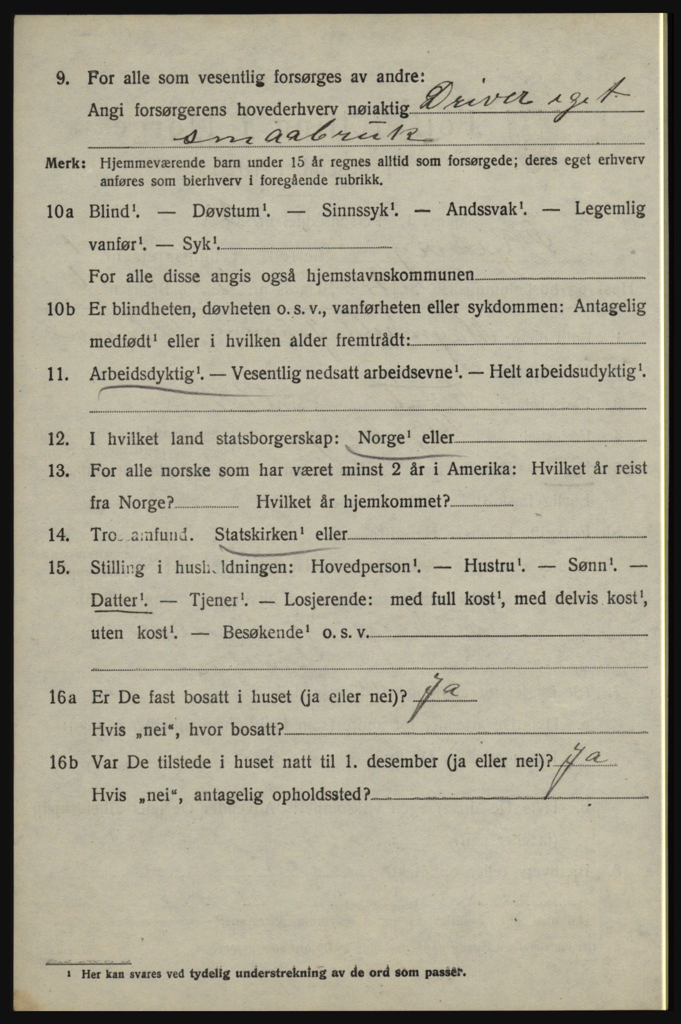 SAO, 1920 census for Skjeberg, 1920, p. 2376