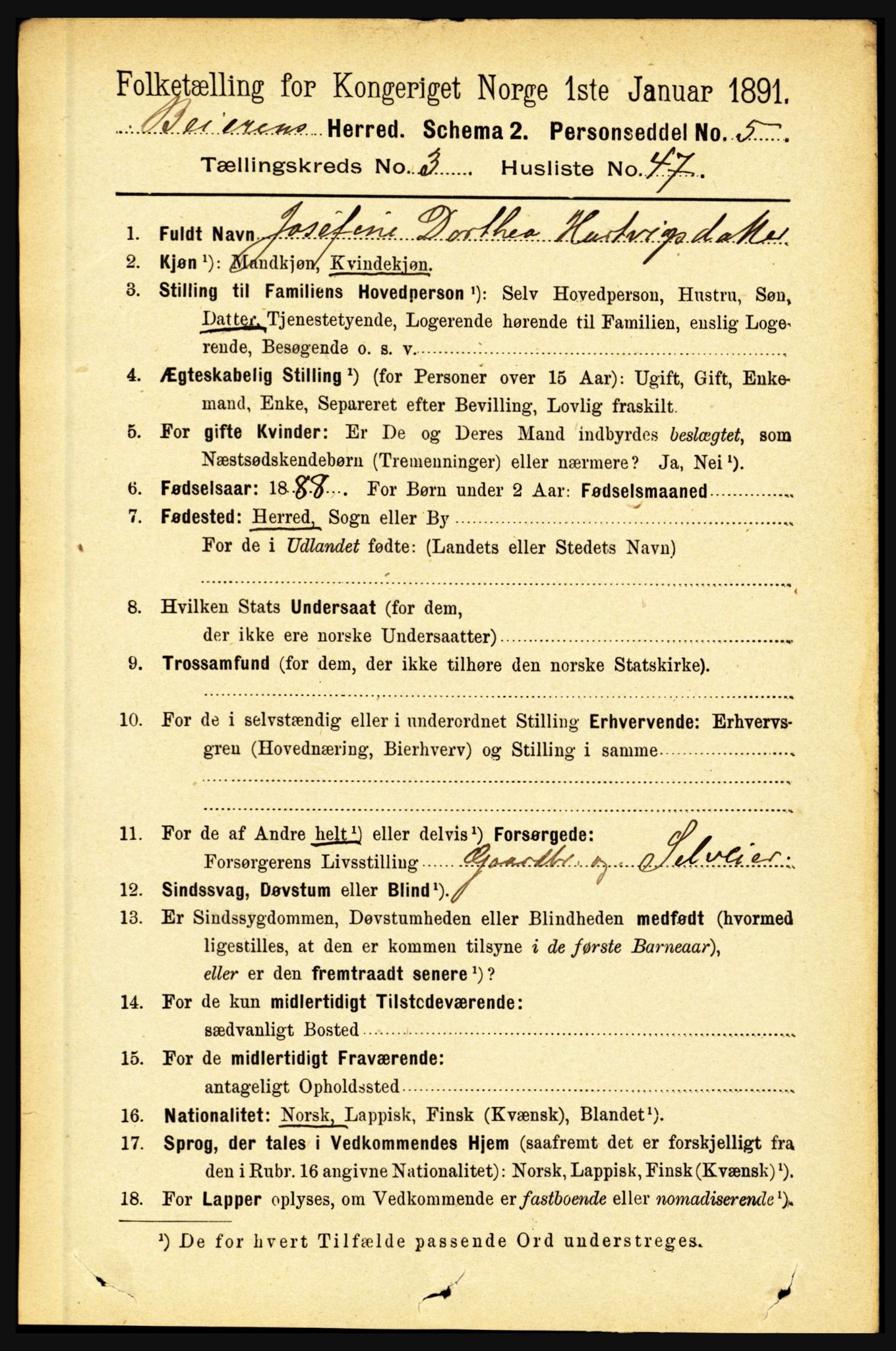 RA, 1891 census for 1839 Beiarn, 1891, p. 1305