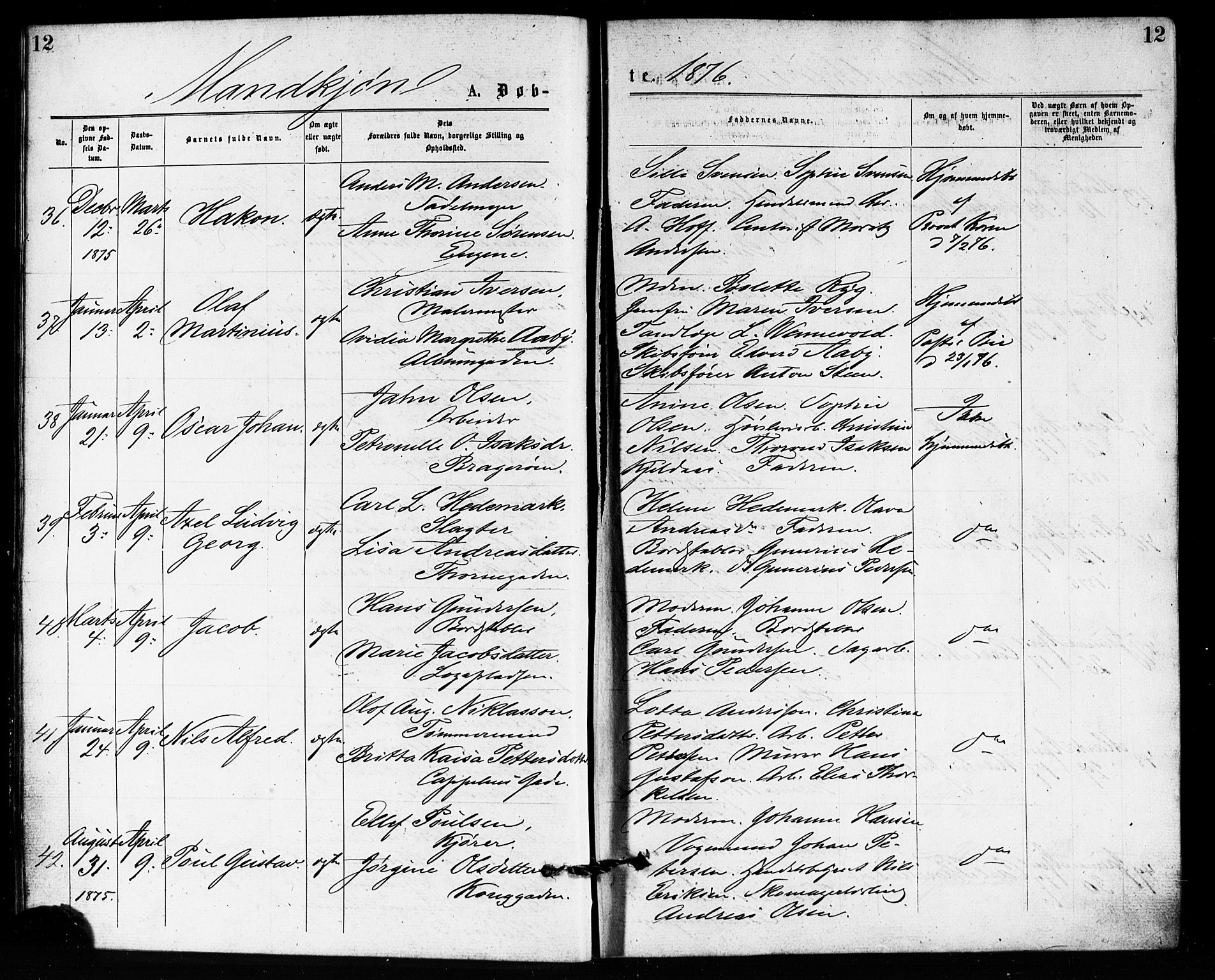 Bragernes kirkebøker, SAKO/A-6/F/Fb/L0005: Parish register (official) no. II 5, 1875-1877, p. 12