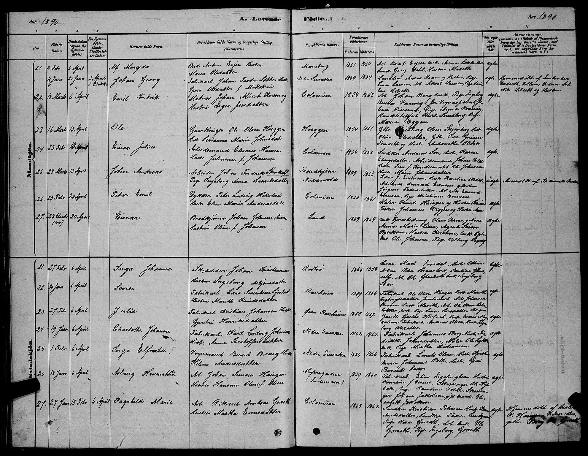 Ministerialprotokoller, klokkerbøker og fødselsregistre - Sør-Trøndelag, AV/SAT-A-1456/606/L0312: Parish register (copy) no. 606C08, 1878-1894