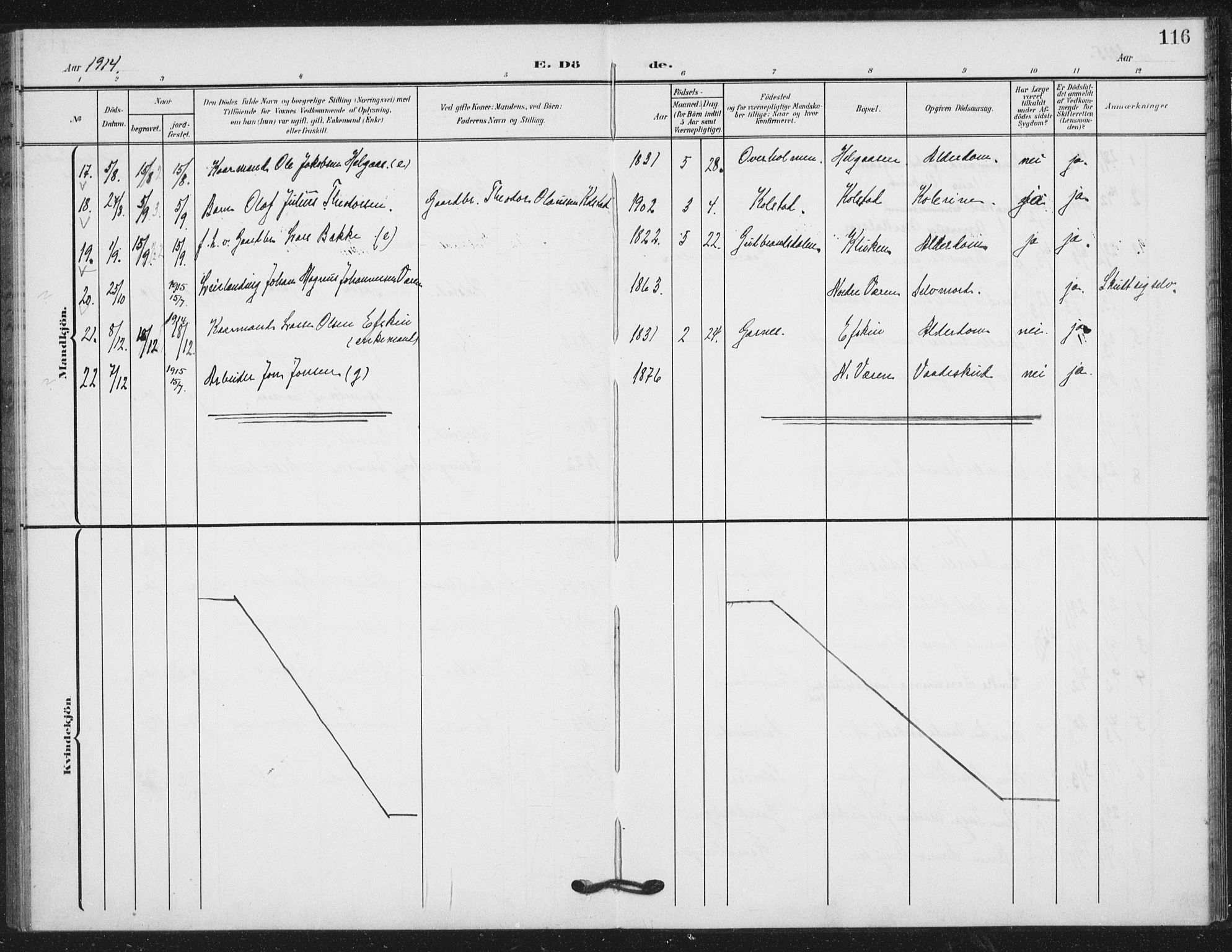 Ministerialprotokoller, klokkerbøker og fødselsregistre - Nord-Trøndelag, SAT/A-1458/724/L0264: Parish register (official) no. 724A02, 1908-1915, p. 116
