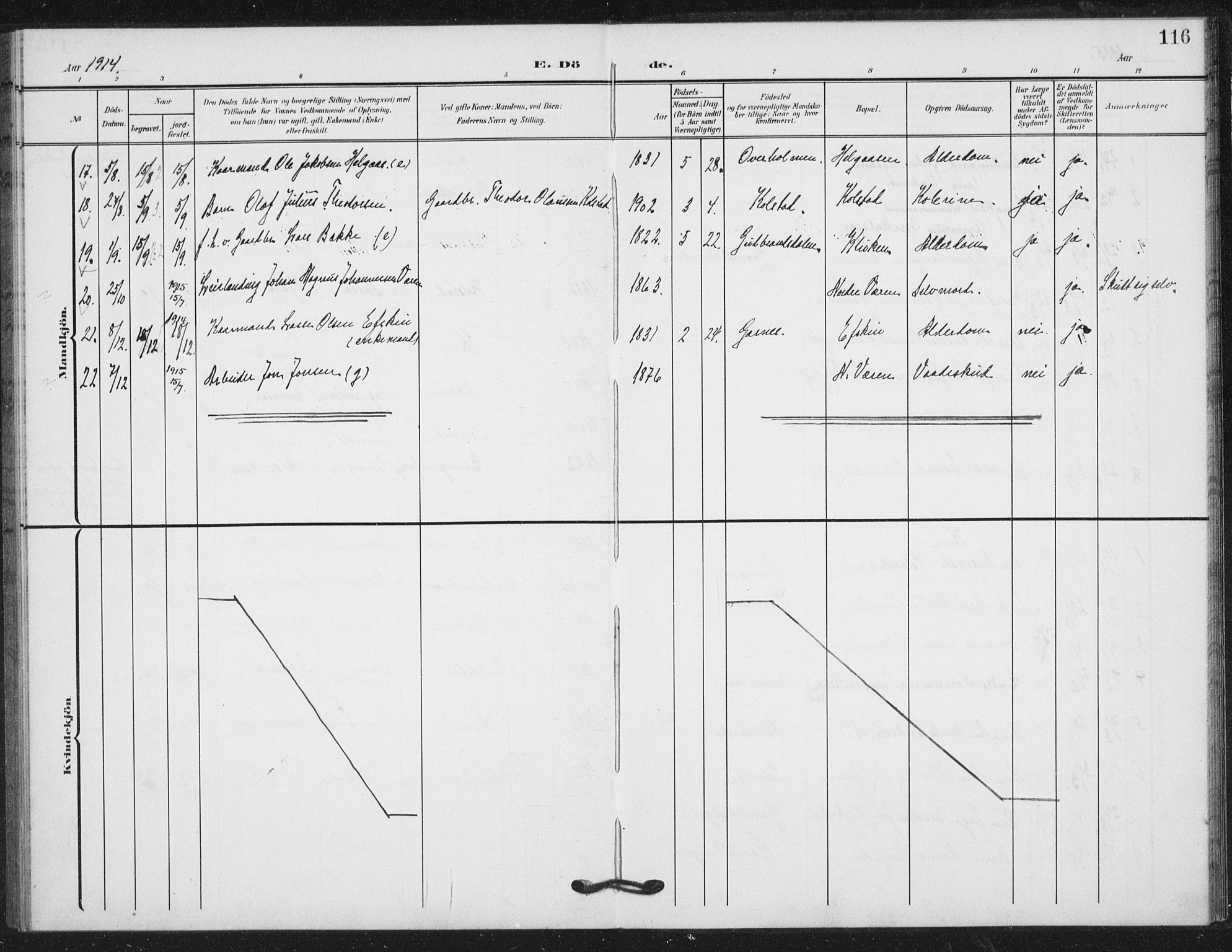 Ministerialprotokoller, klokkerbøker og fødselsregistre - Nord-Trøndelag, AV/SAT-A-1458/724/L0264: Parish register (official) no. 724A02, 1908-1915, p. 116