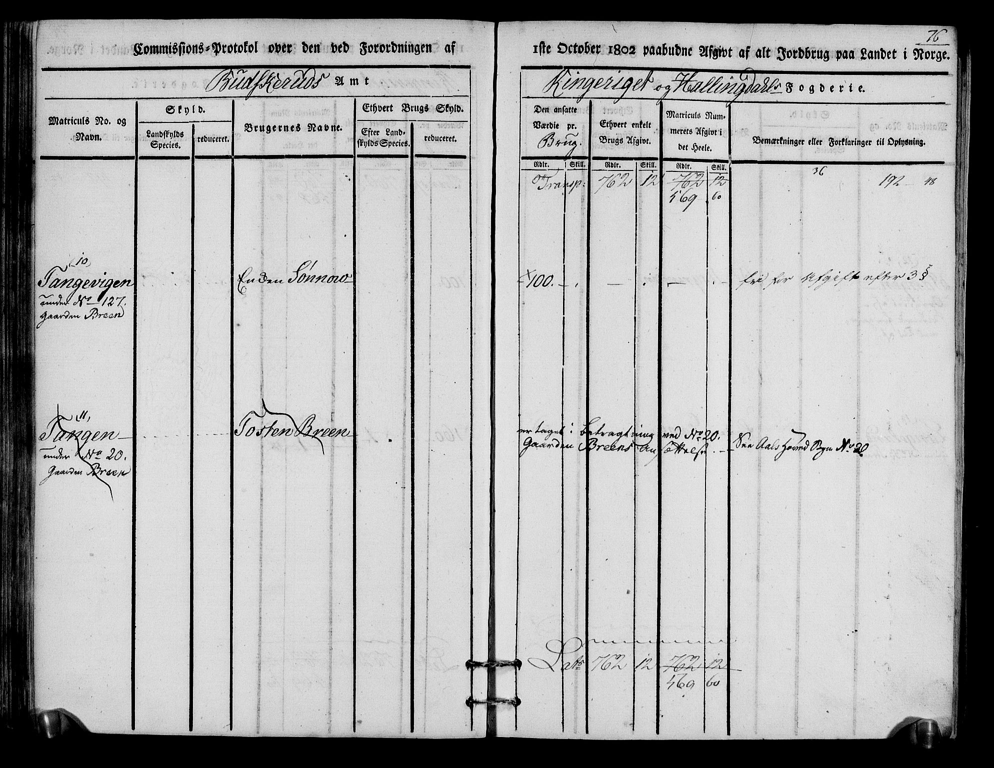 Rentekammeret inntil 1814, Realistisk ordnet avdeling, AV/RA-EA-4070/N/Ne/Nea/L0048: Ringerike og Hallingdal fogderi. Kommisjonsprotokoll for Ål prestegjeld, 1803, p. 80