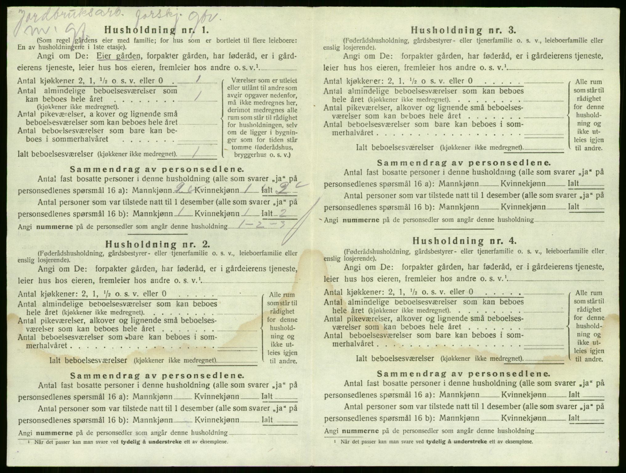 SAKO, 1920 census for Sande, 1920, p. 204