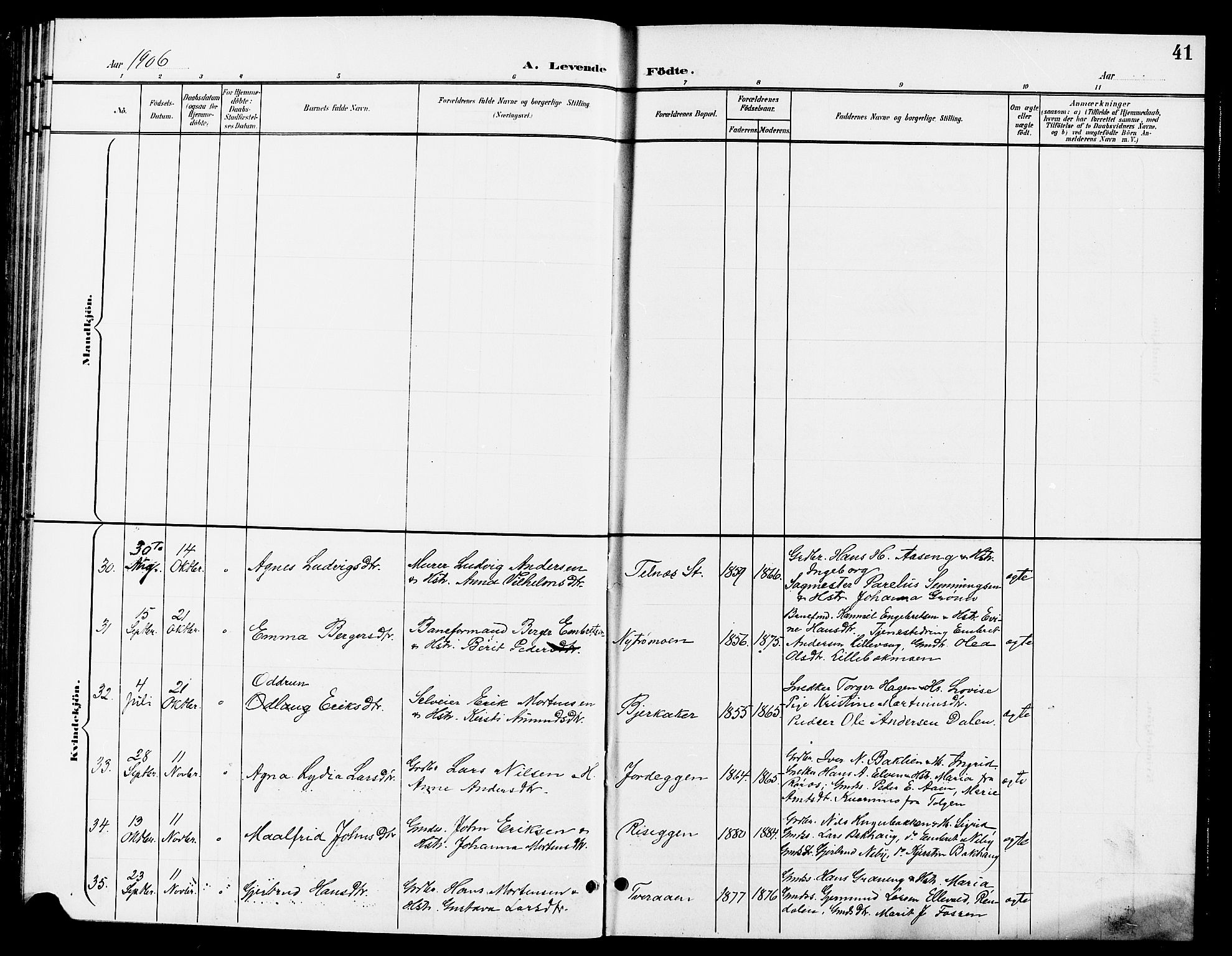Tynset prestekontor, SAH/PREST-058/H/Ha/Hab/L0009: Parish register (copy) no. 9, 1900-1914, p. 41