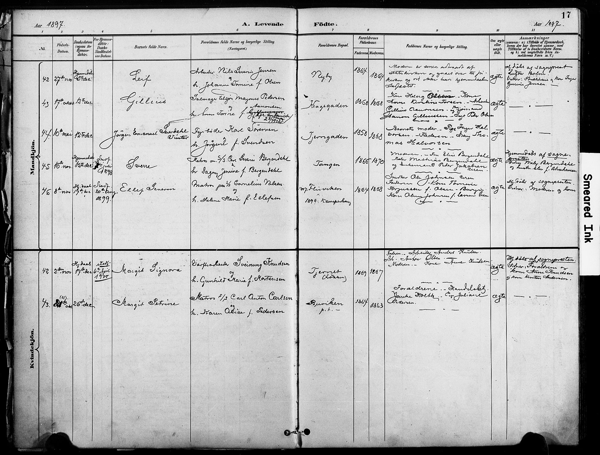 Risør sokneprestkontor, SAK/1111-0035/F/Fa/L0010: Parish register (official) no. A 10, 1896-1906, p. 17