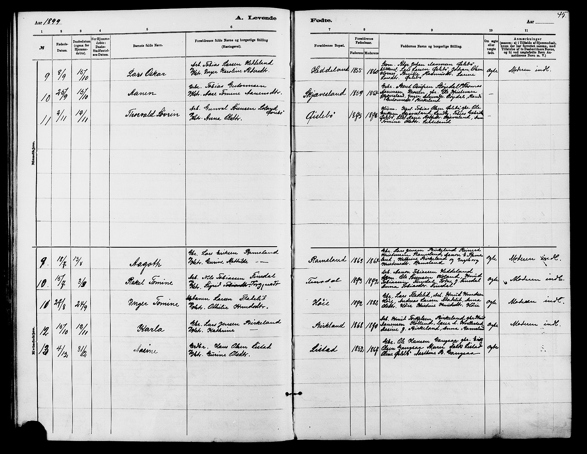 Holum sokneprestkontor, SAK/1111-0022/F/Fb/Fbc/L0003: Parish register (copy) no. B 3, 1882-1908, p. 45