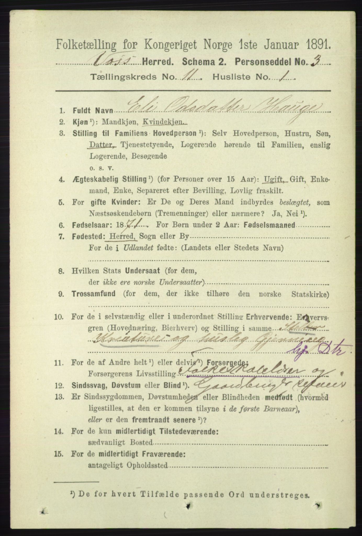 RA, 1891 census for 1235 Voss, 1891, p. 5830