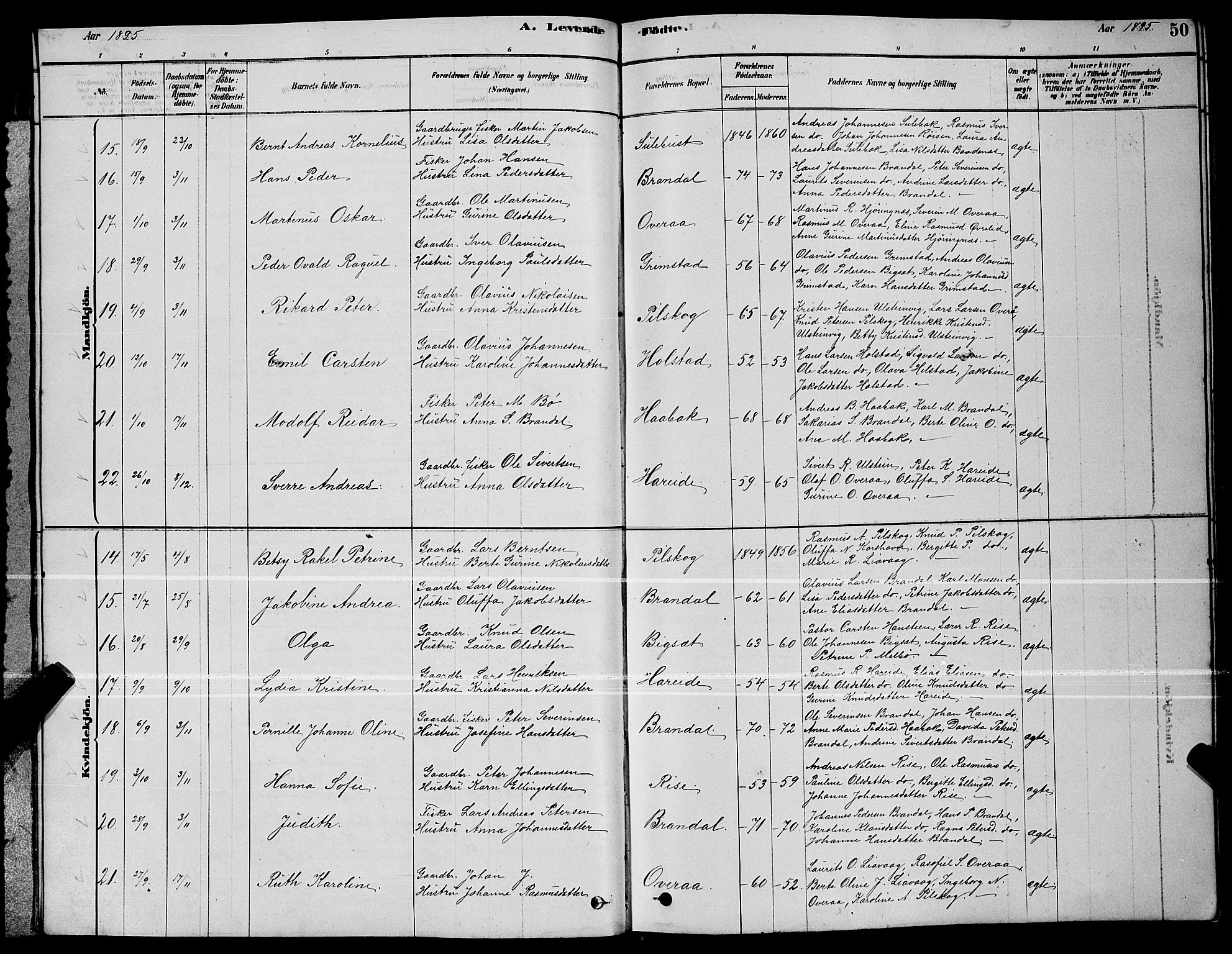 Ministerialprotokoller, klokkerbøker og fødselsregistre - Møre og Romsdal, AV/SAT-A-1454/510/L0125: Parish register (copy) no. 510C02, 1878-1900, p. 50