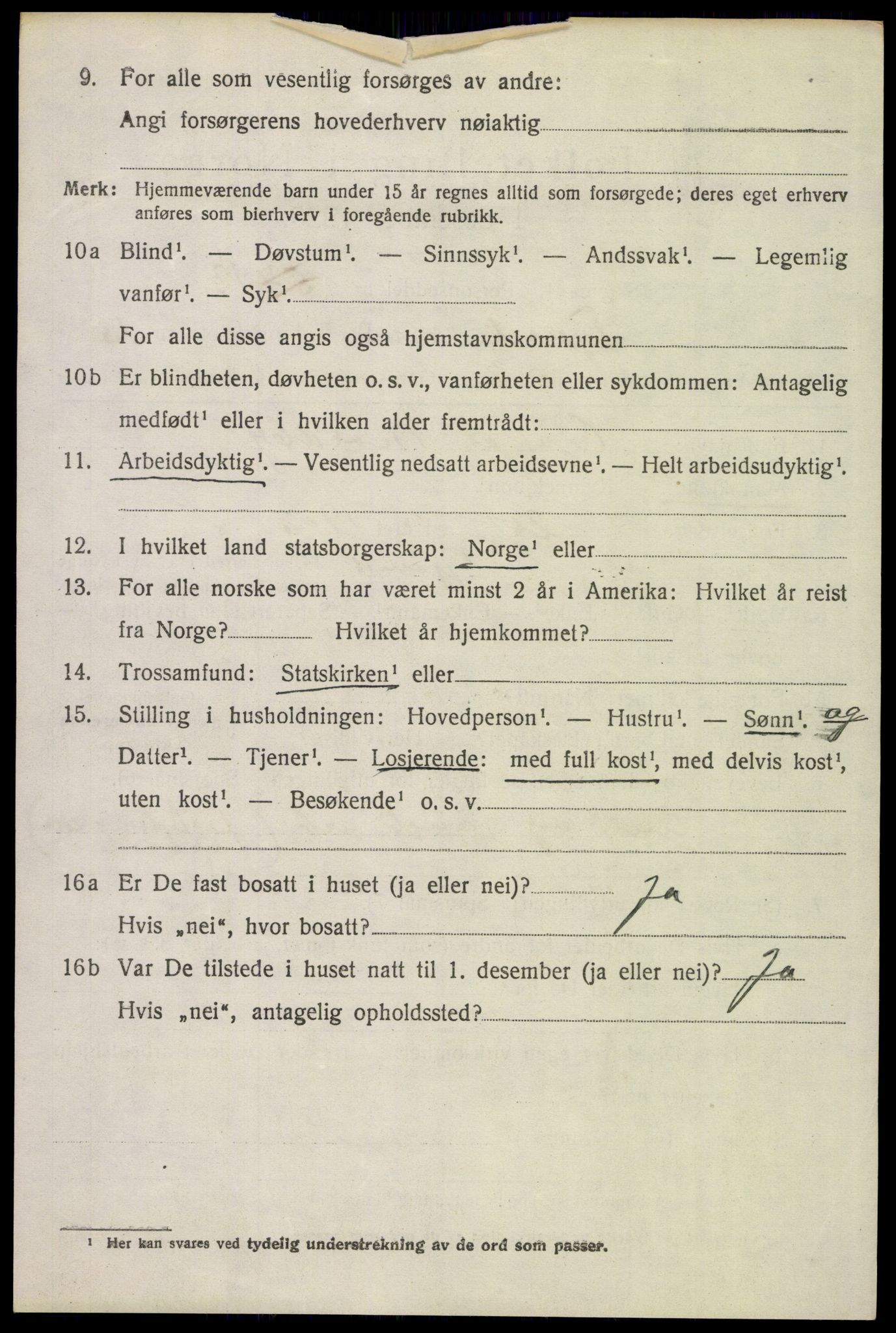 SAH, 1920 census for Tynset, 1920, p. 8613