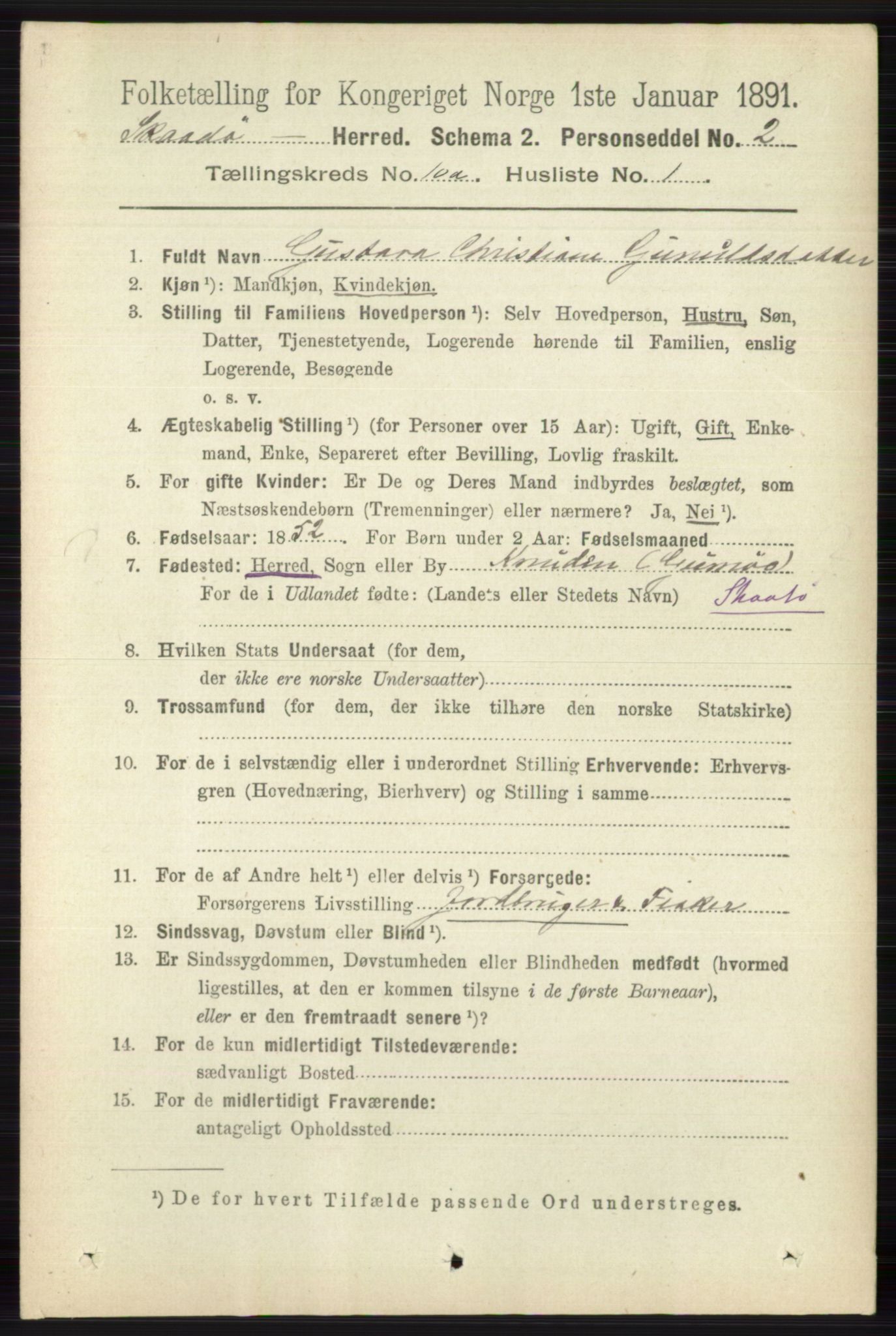 RA, 1891 census for 0815 Skåtøy, 1891, p. 4033