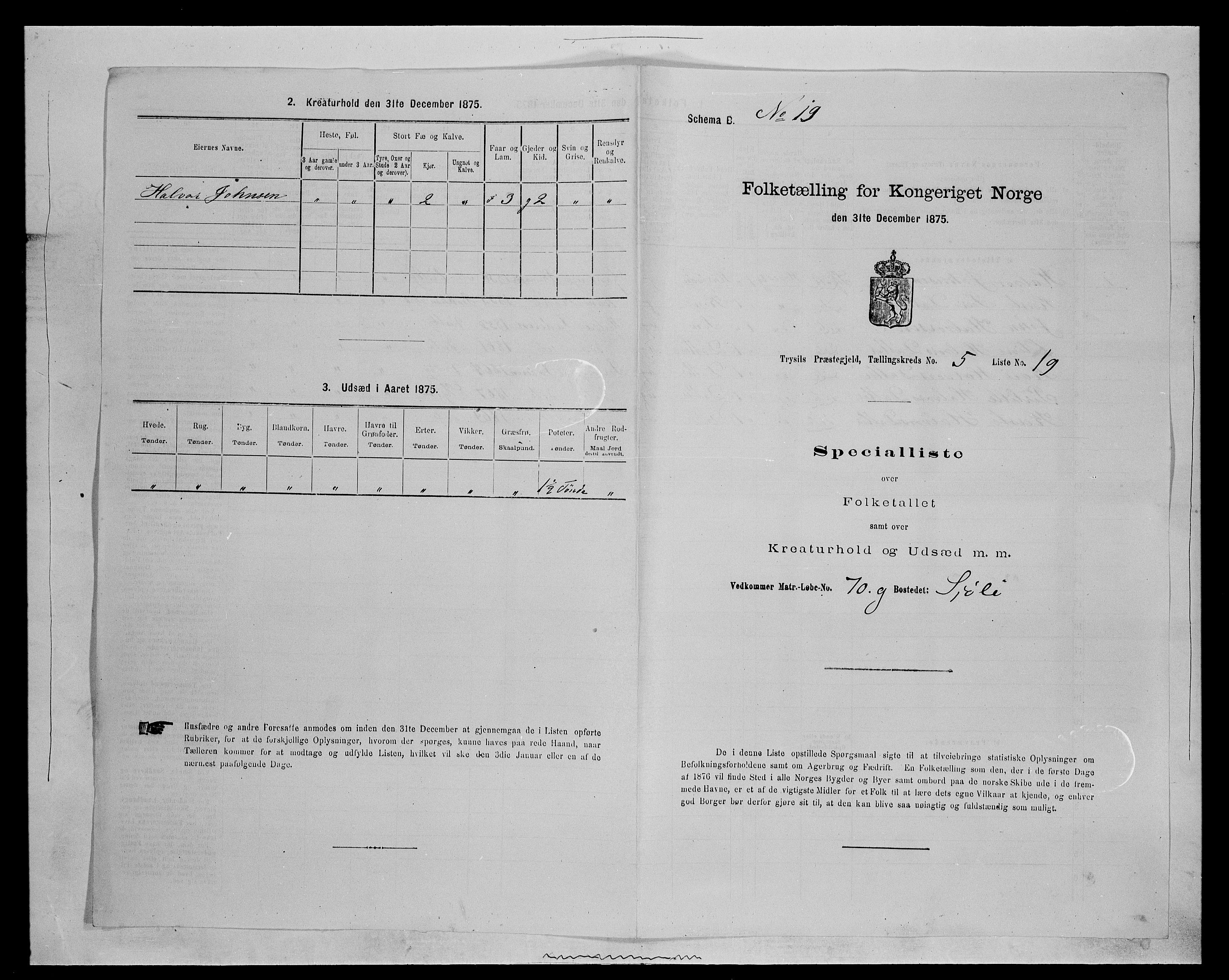 SAH, 1875 census for 0428P Trysil, 1875, p. 710