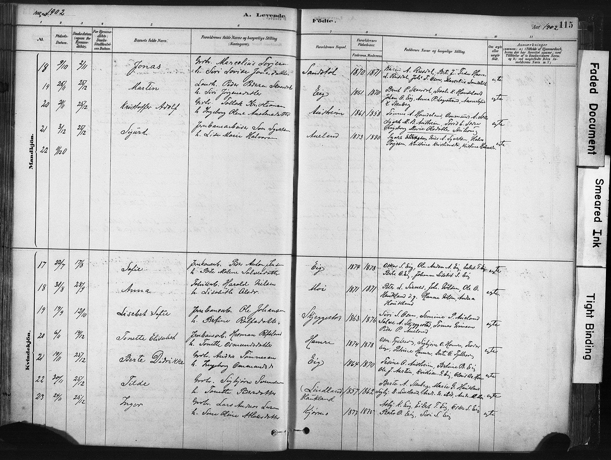 Lund sokneprestkontor, AV/SAST-A-101809/S06/L0011: Parish register (official) no. A 10, 1877-1904, p. 115