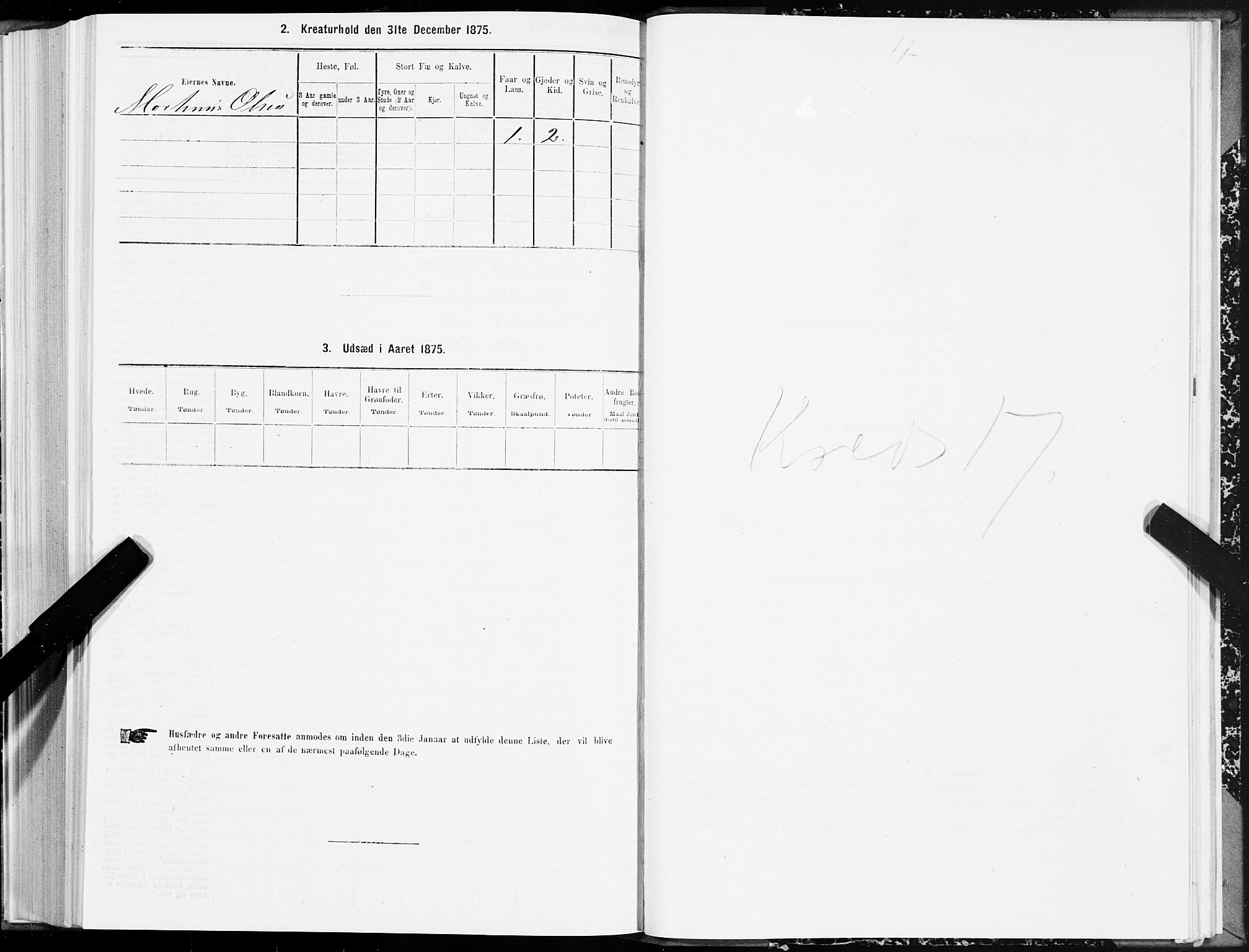 SAT, 1875 census for 1702B Steinkjer/Steinkjer, 1875