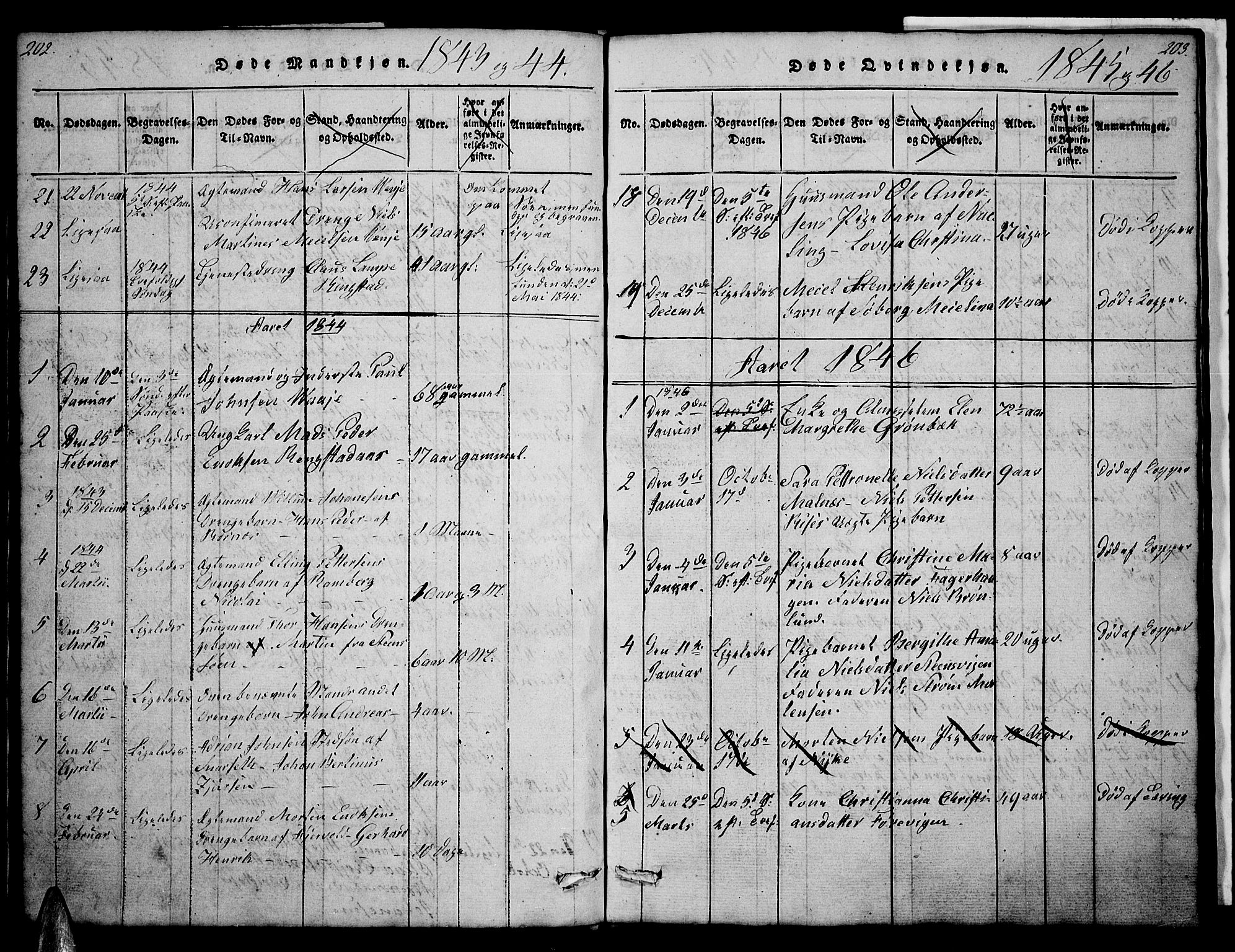 Ministerialprotokoller, klokkerbøker og fødselsregistre - Nordland, AV/SAT-A-1459/891/L1312: Parish register (copy) no. 891C01, 1820-1856, p. 202-203