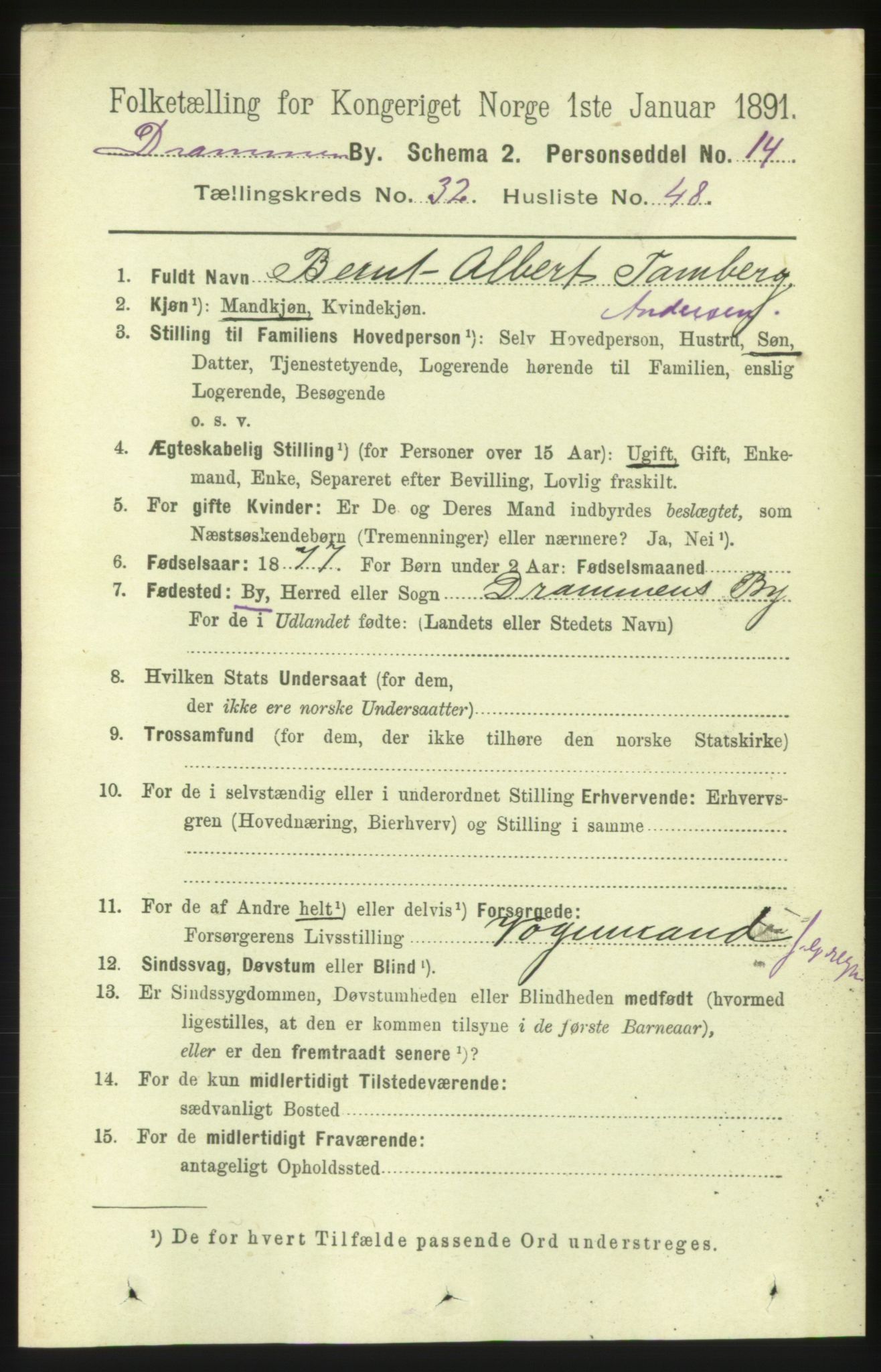 RA, 1891 census for 0602 Drammen, 1891, p. 19965