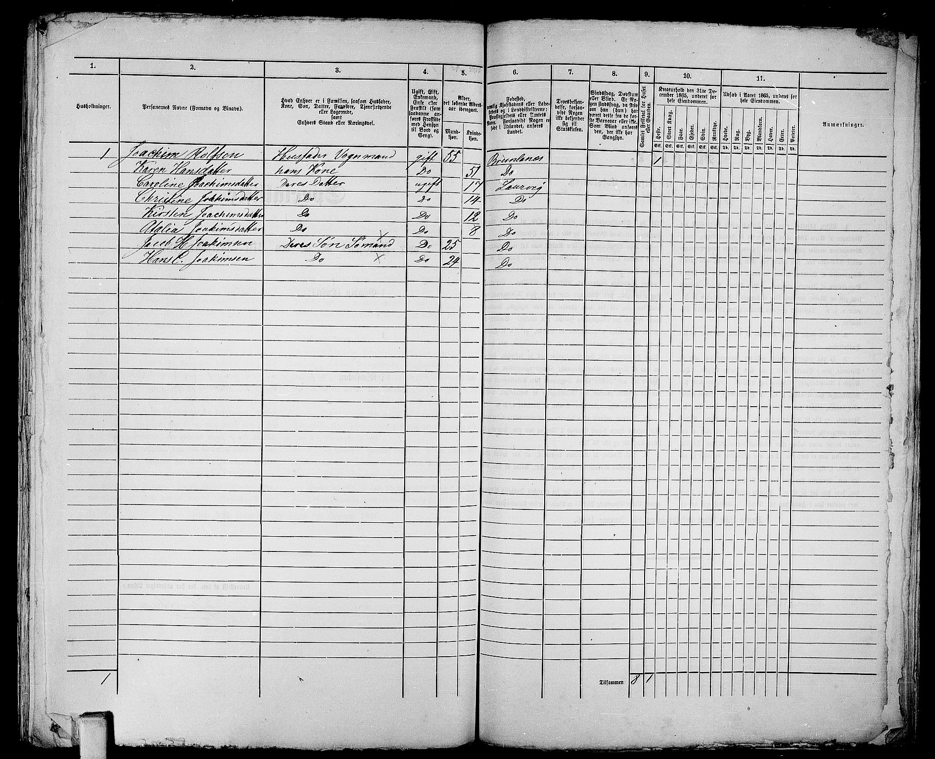 RA, 1865 census for Larvik, 1865, p. 1272