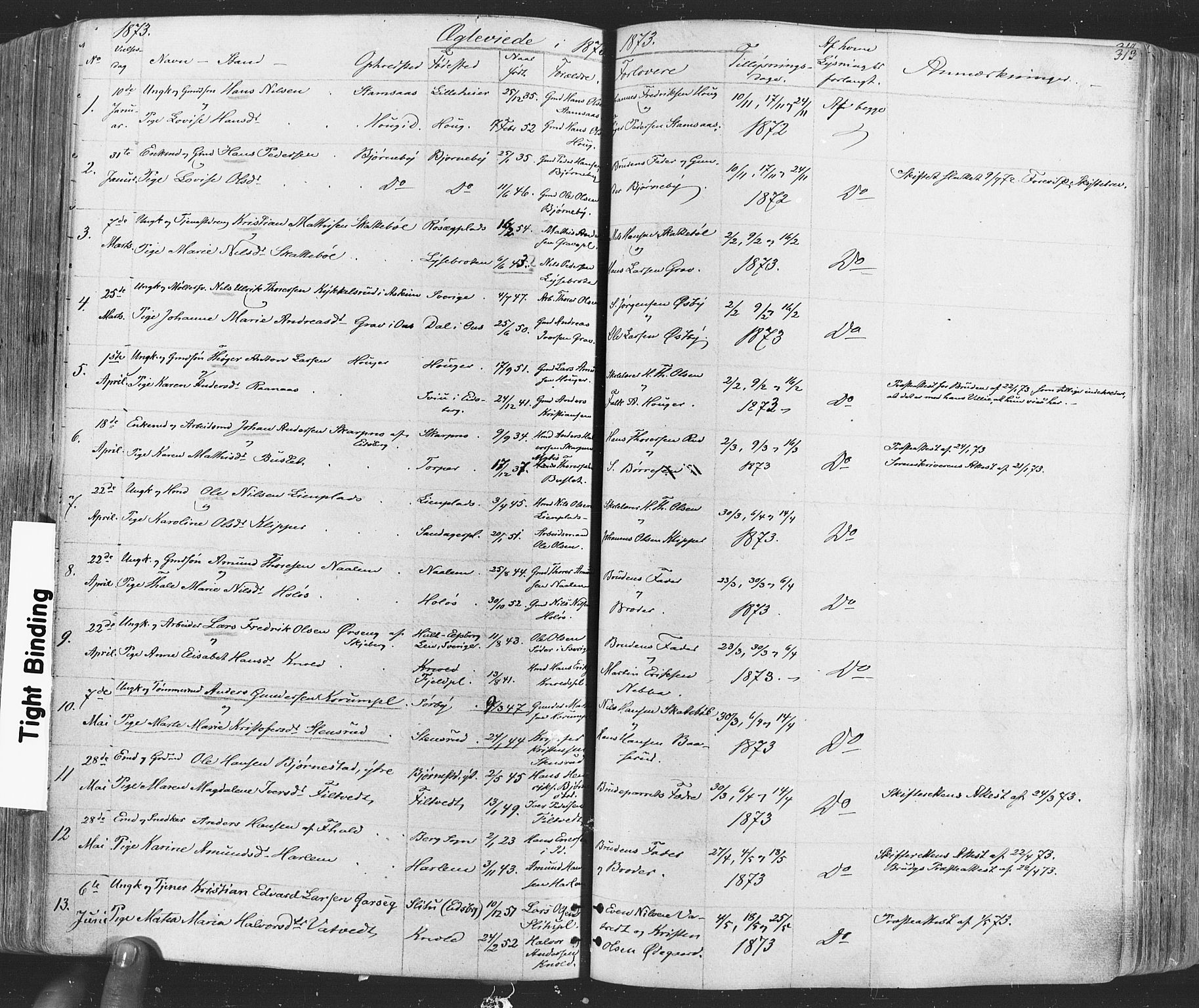 Rakkestad prestekontor Kirkebøker, SAO/A-2008/F/Fa/L0011: Parish register (official) no. I 11, 1862-1877, p. 313