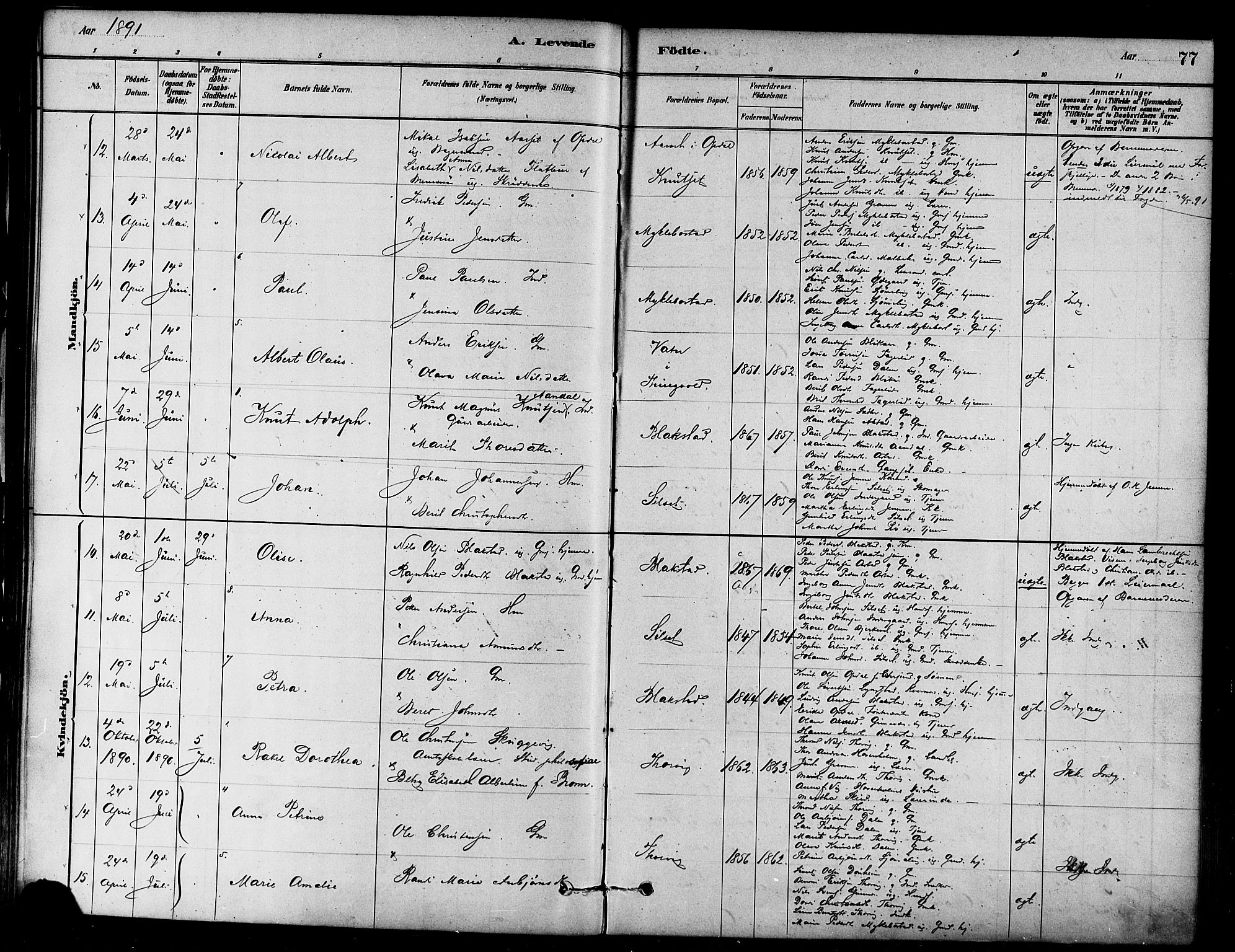 Ministerialprotokoller, klokkerbøker og fødselsregistre - Møre og Romsdal, SAT/A-1454/584/L0967: Parish register (official) no. 584A07, 1879-1894, p. 77