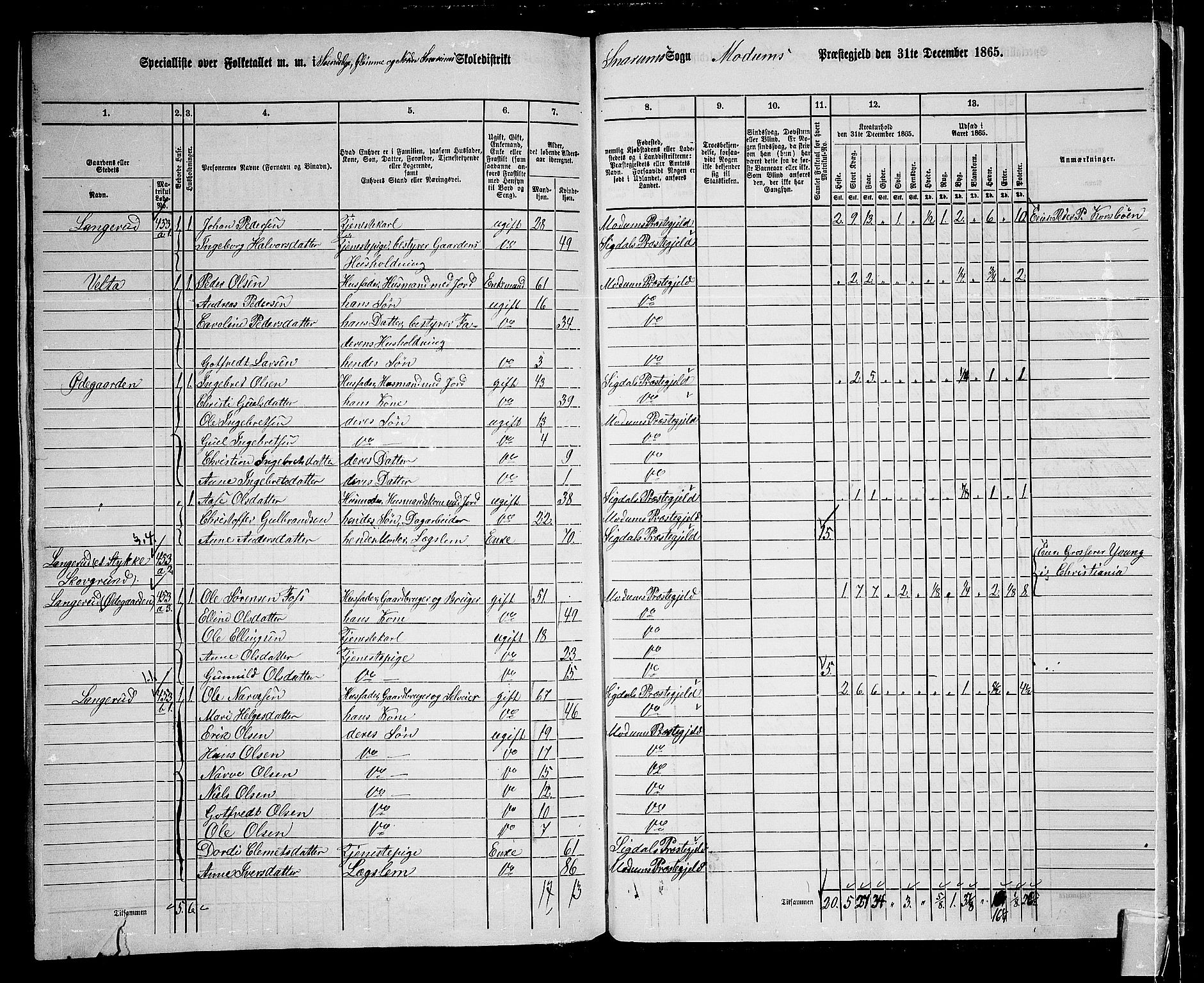 RA, 1865 census for Modum, 1865, p. 319