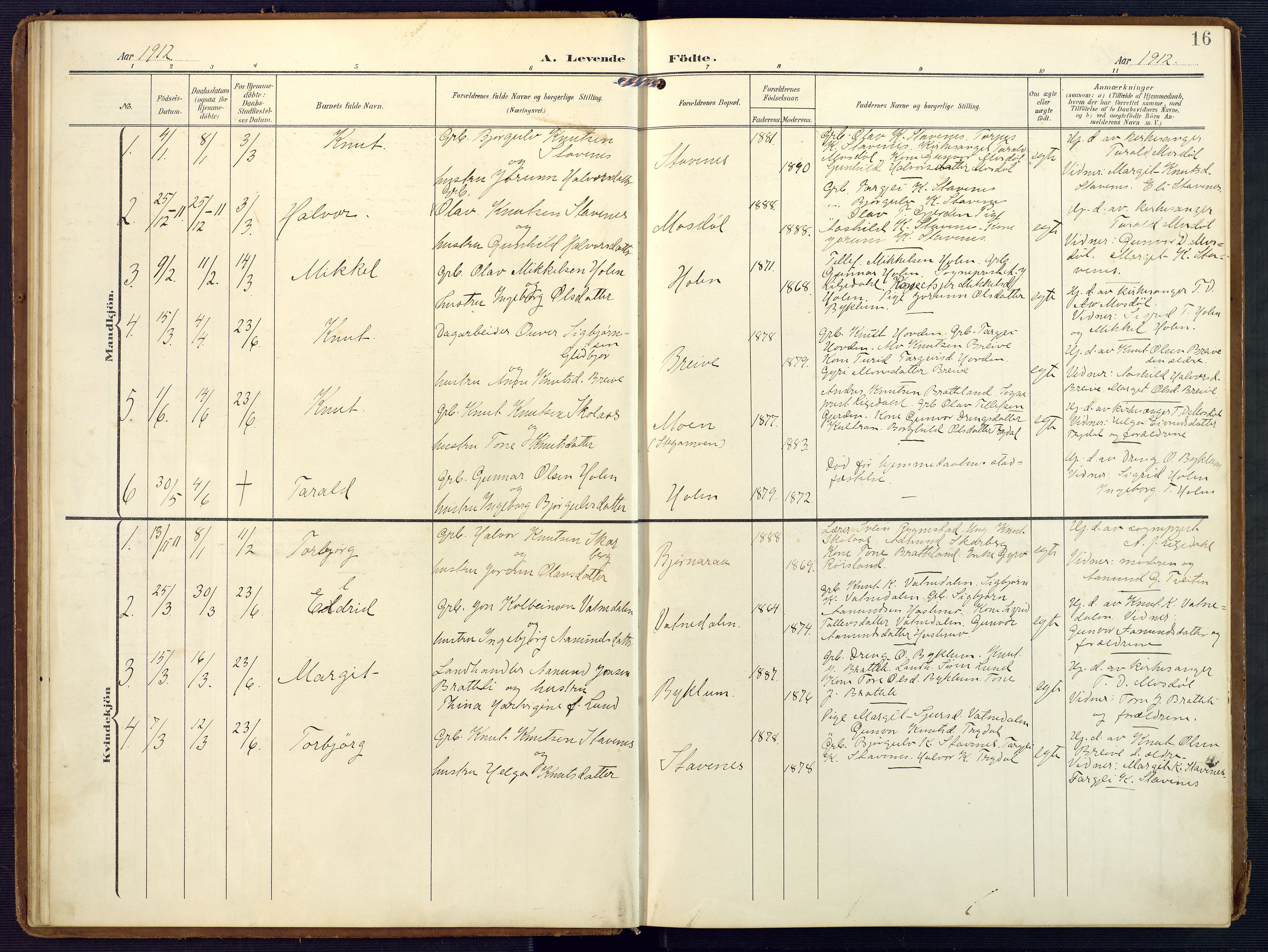 Valle sokneprestkontor, SAK/1111-0044/F/Fa/Faa/L0002: Parish register (official) no. A 2, 1907-1919, p. 16