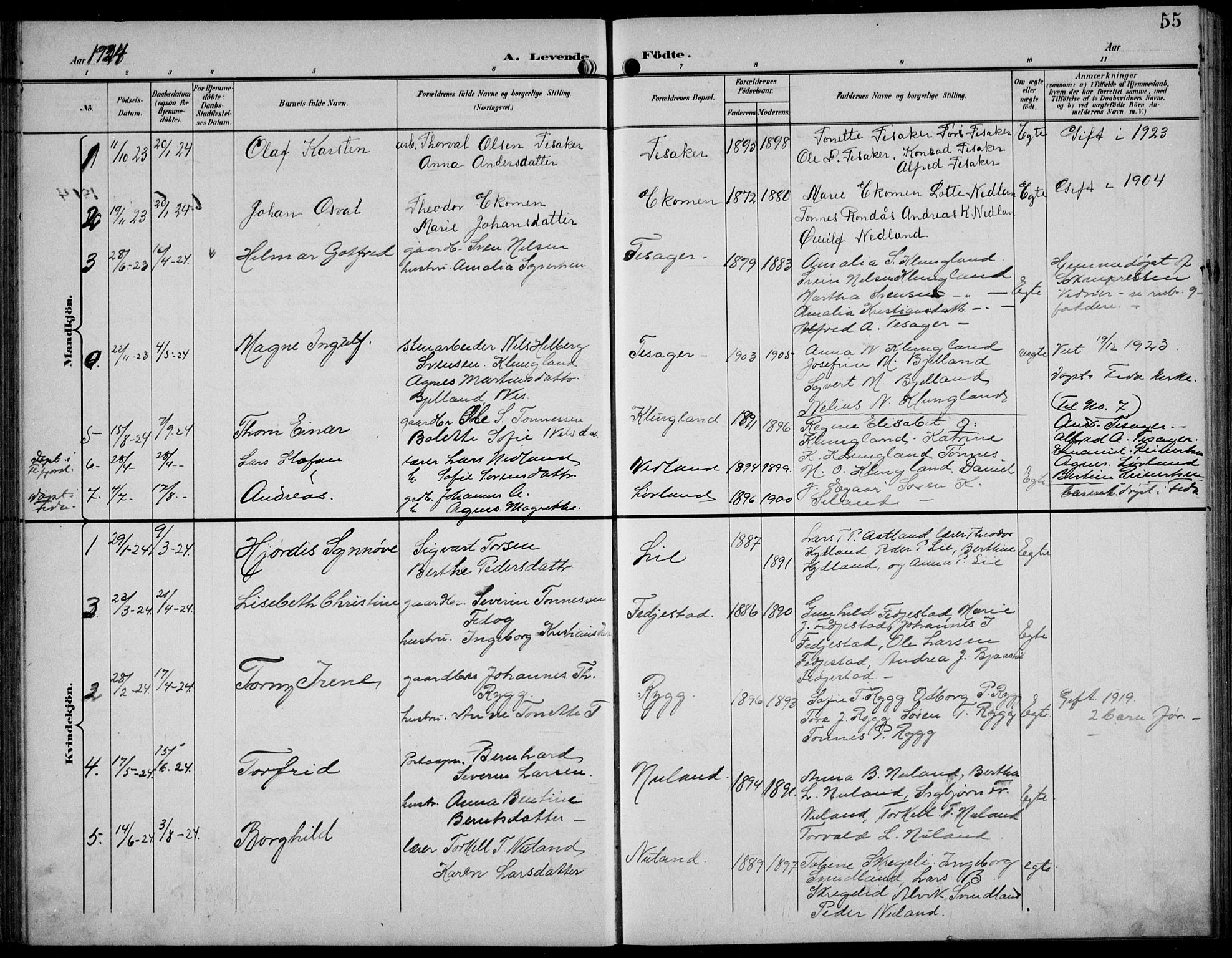 Bakke sokneprestkontor, SAK/1111-0002/F/Fb/Fbb/L0004: Parish register (copy) no. B 4, 1896-1927, p. 55