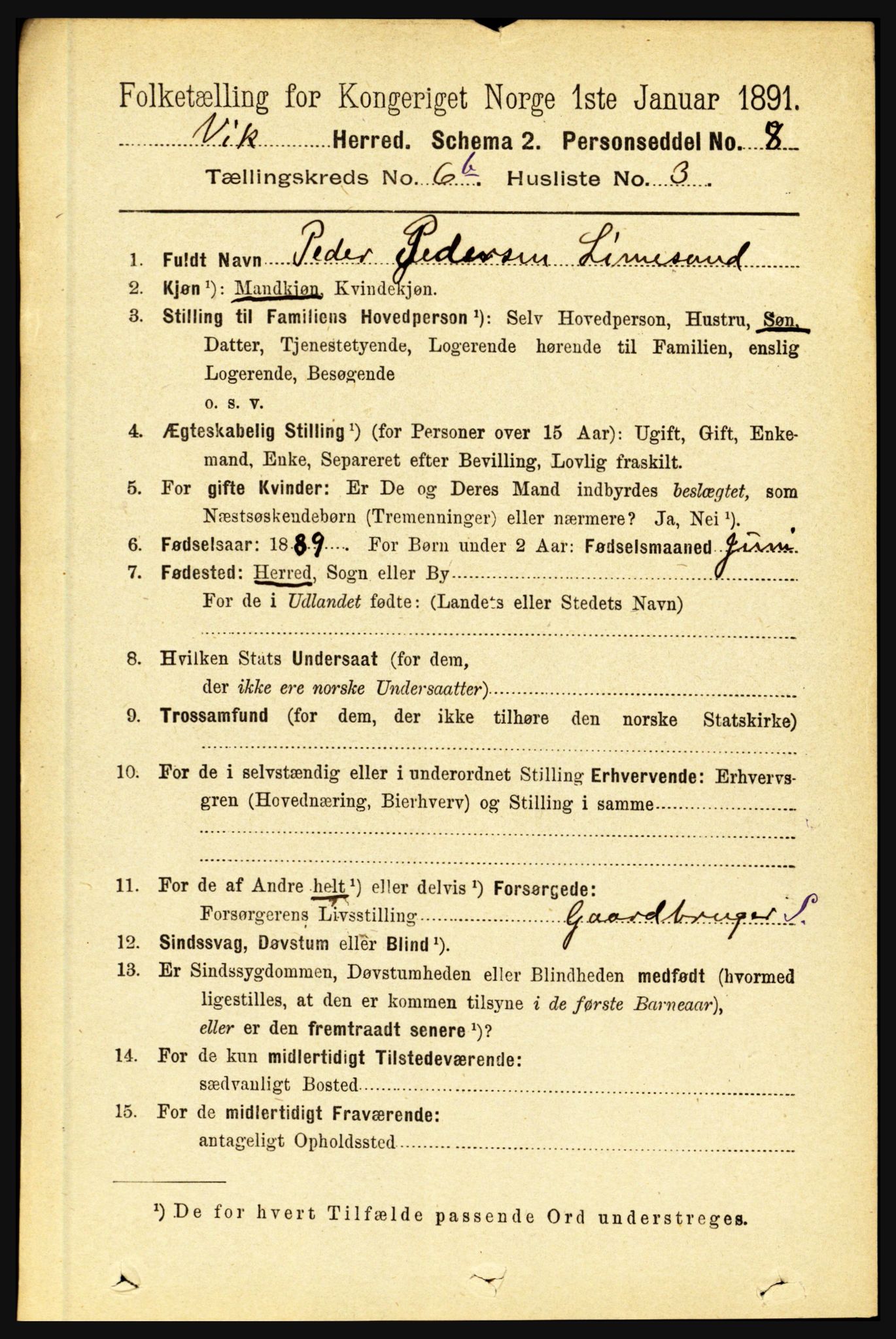 RA, 1891 census for 1417 Vik, 1891, p. 3163