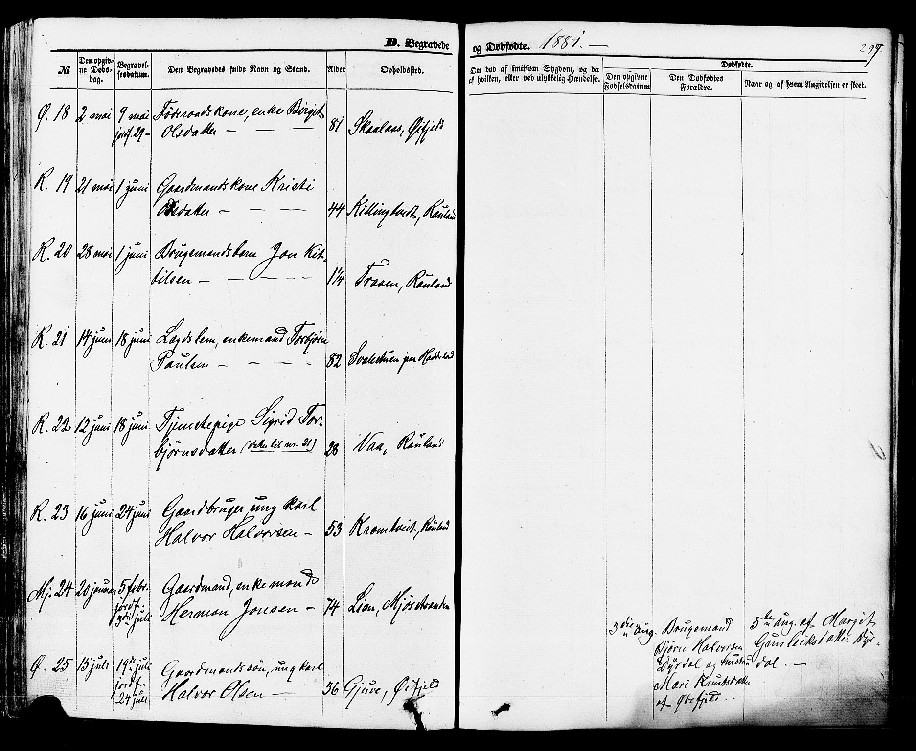 Rauland kirkebøker, AV/SAKO-A-292/F/Fa/L0003: Parish register (official) no. I 3, 1859-1886, p. 297