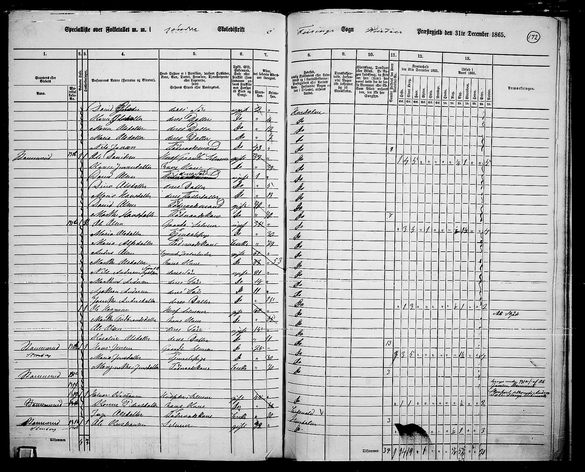 RA, 1865 census for Hurdal, 1865, p. 143