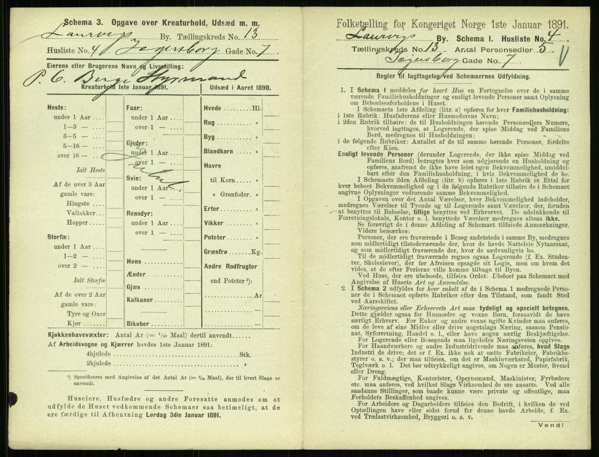 RA, 1891 census for 0707 Larvik, 1891, p. 1515