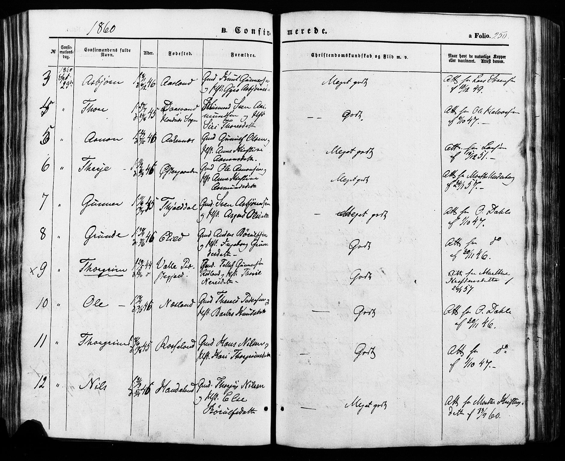 Åseral sokneprestkontor, SAK/1111-0051/F/Fa/L0002: Parish register (official) no. A 2, 1854-1884, p. 250