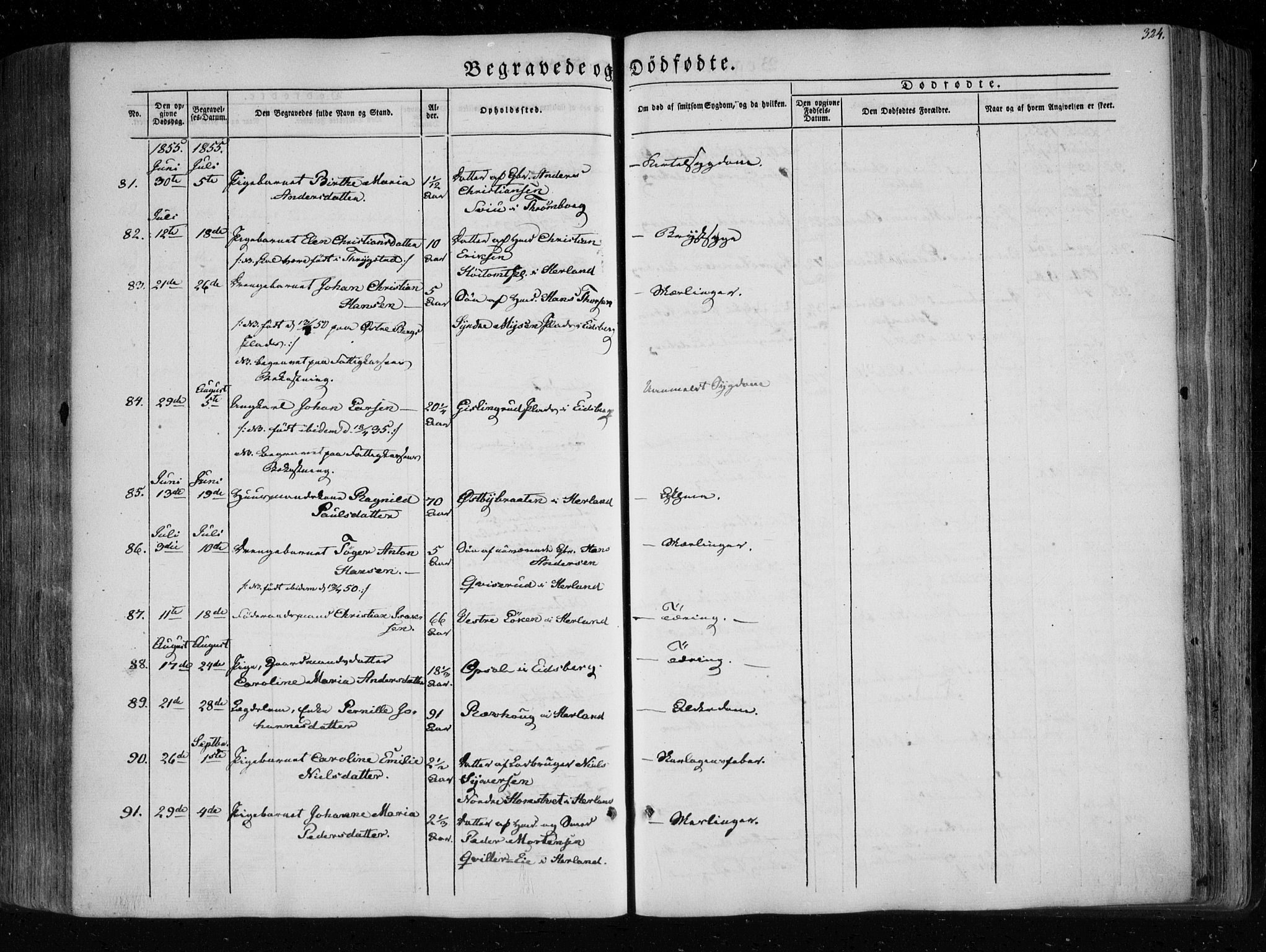 Eidsberg prestekontor Kirkebøker, SAO/A-10905/F/Fa/L0009: Parish register (official) no. I 9, 1849-1856, p. 324