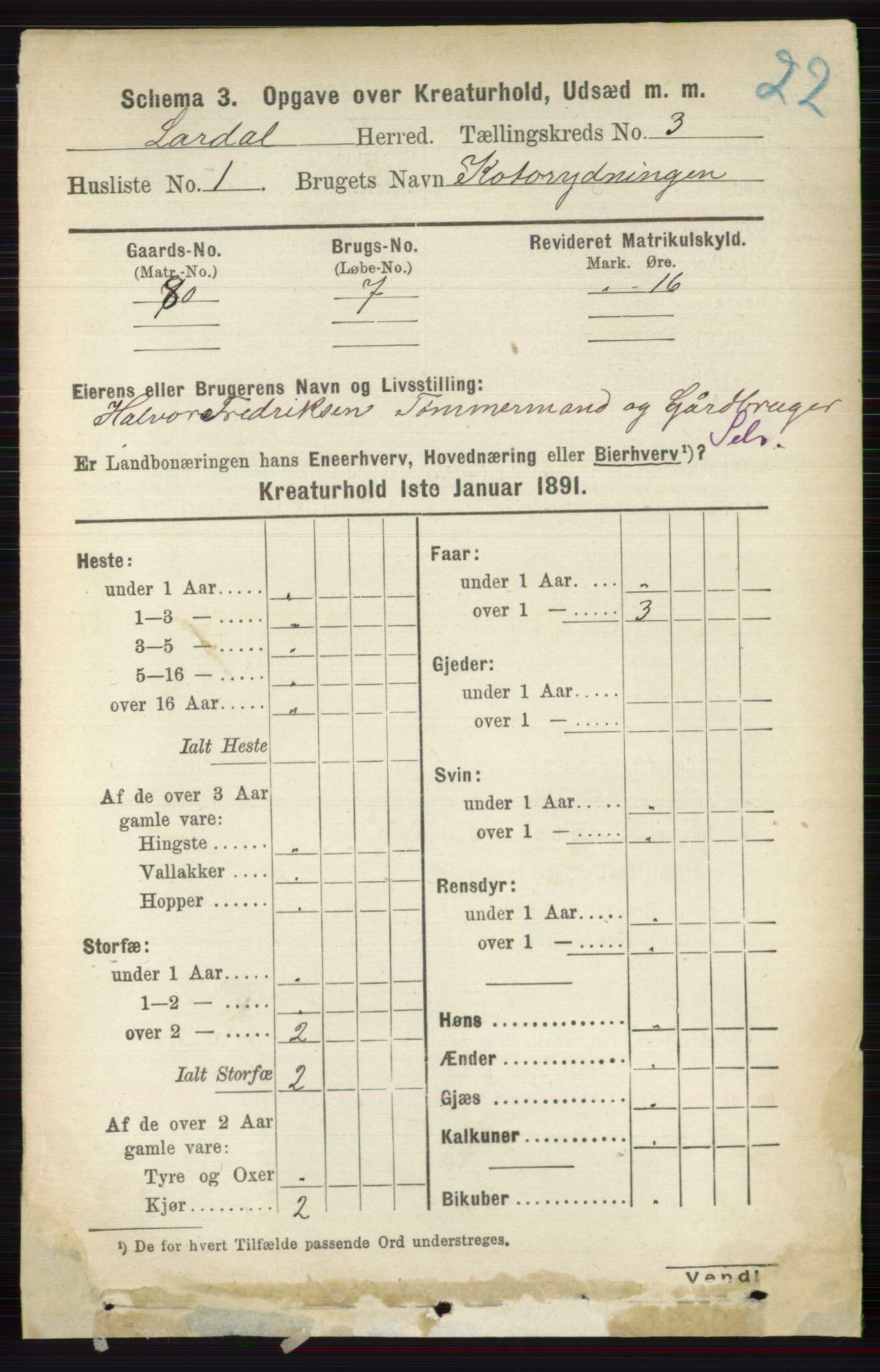 RA, 1891 census for 0728 Lardal, 1891, p. 3607