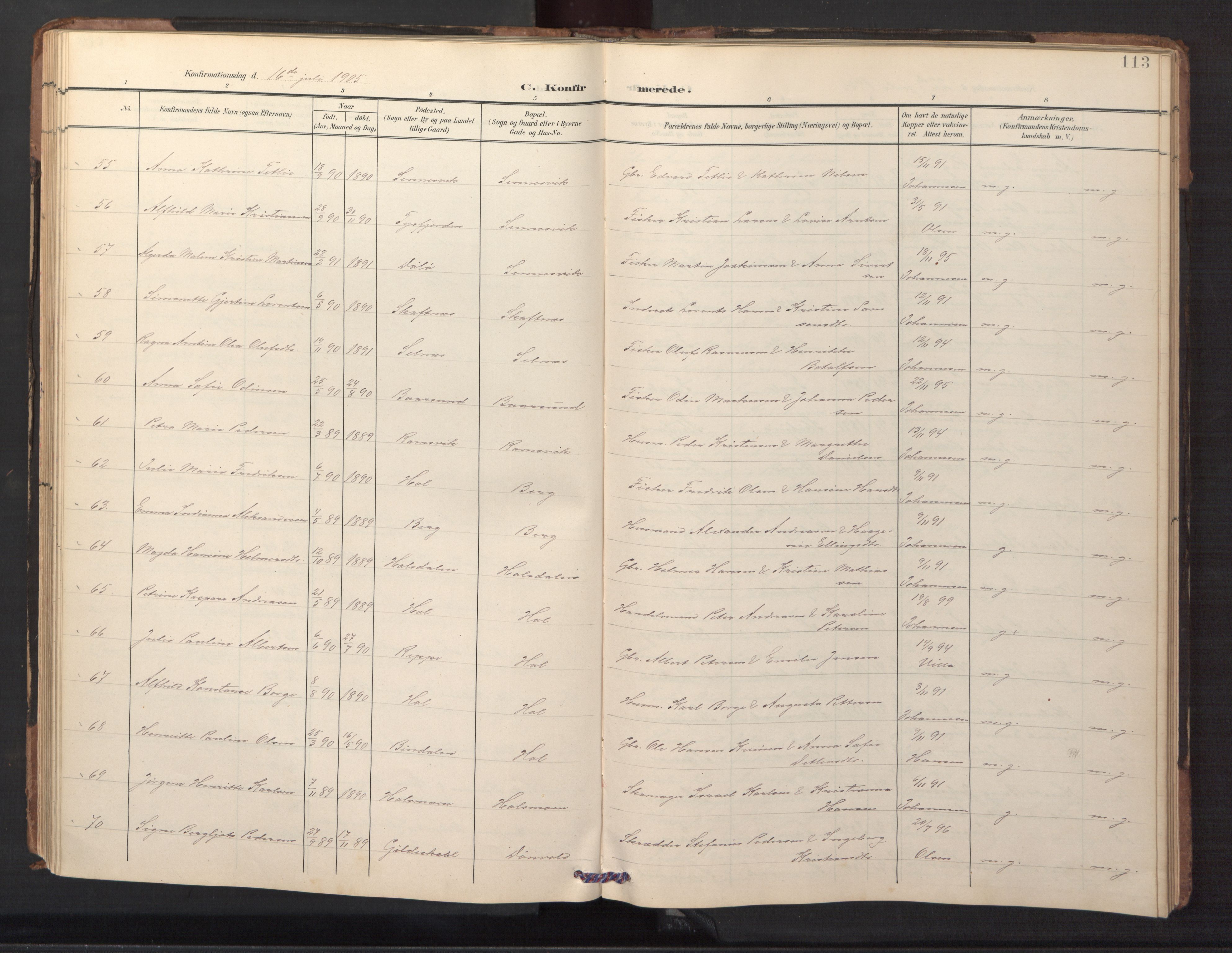 Ministerialprotokoller, klokkerbøker og fødselsregistre - Nordland, AV/SAT-A-1459/882/L1185: Parish register (copy) no. 882C03, 1898-1910, p. 113