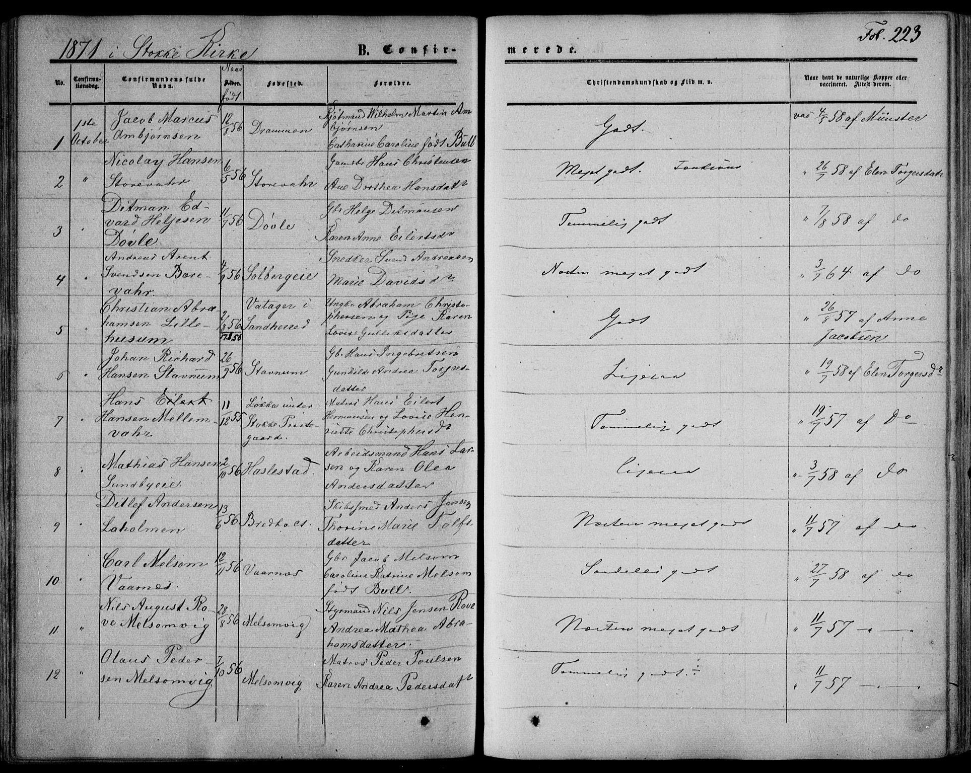 Stokke kirkebøker, SAKO/A-320/F/Fa/L0008: Parish register (official) no. I 8, 1858-1871, p. 223