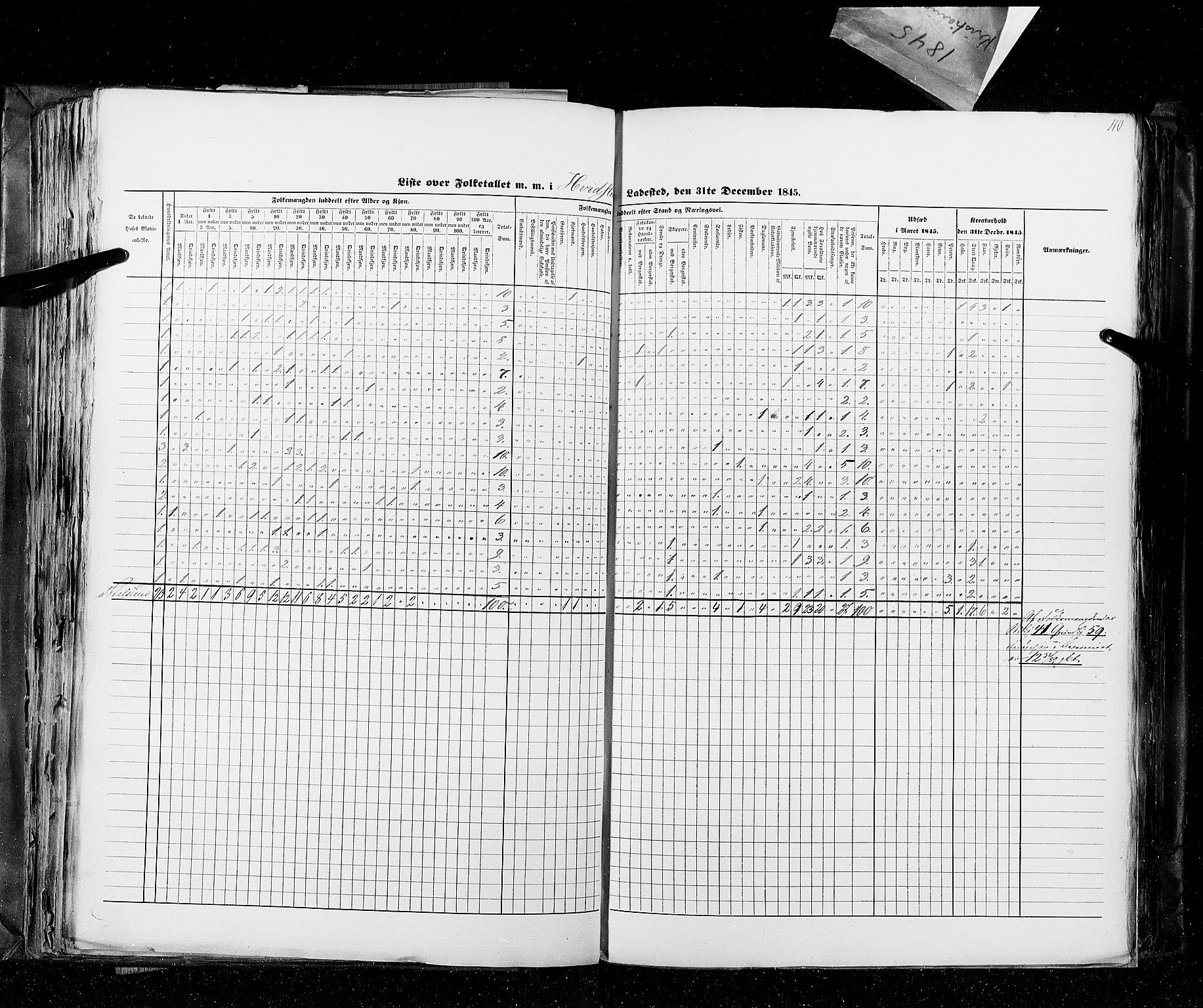 RA, Census 1845, vol. 10: Cities, 1845, p. 110