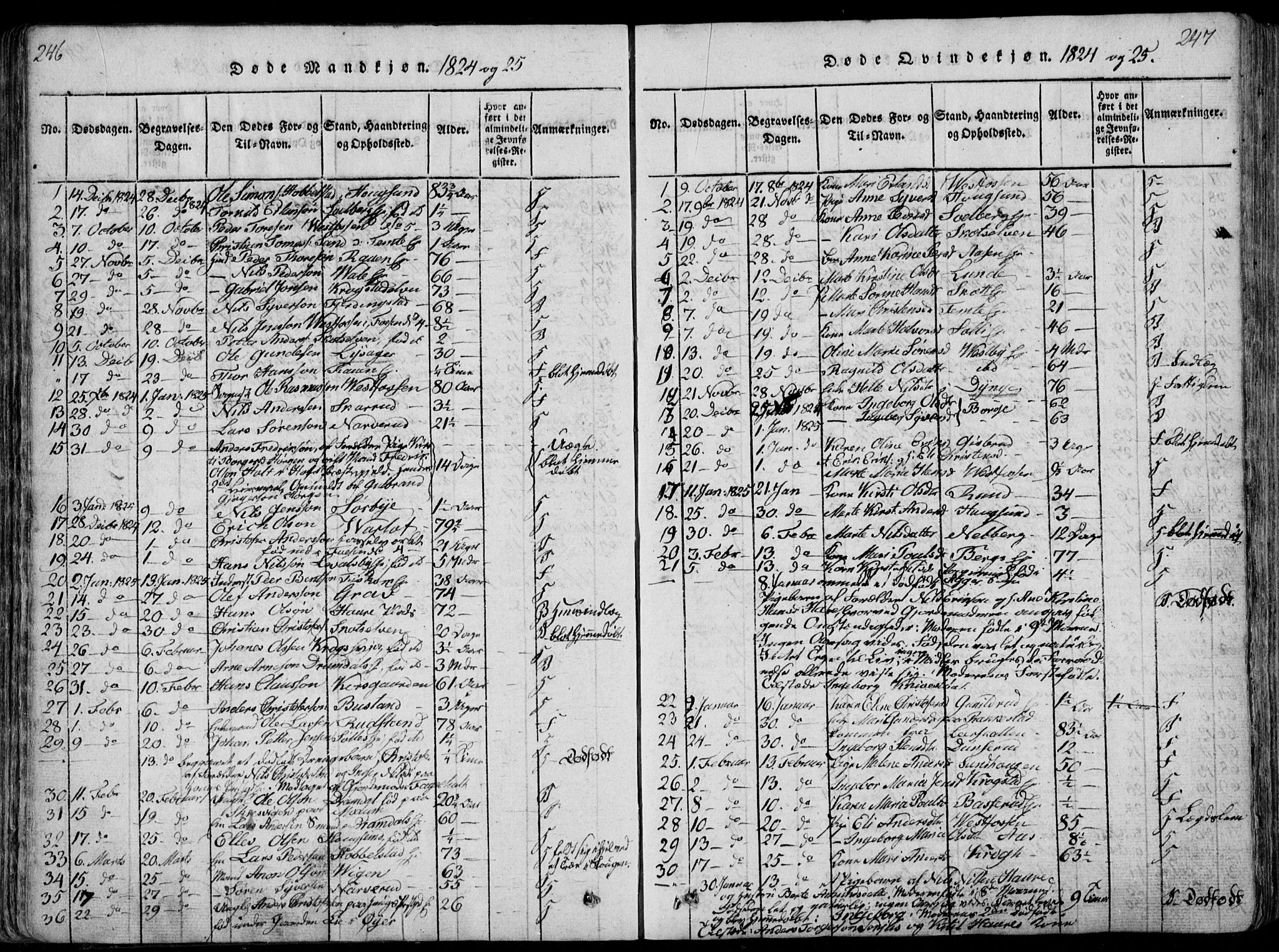 Eiker kirkebøker, AV/SAKO-A-4/F/Fa/L0011: Parish register (official) no. I 11, 1814-1827, p. 246-247