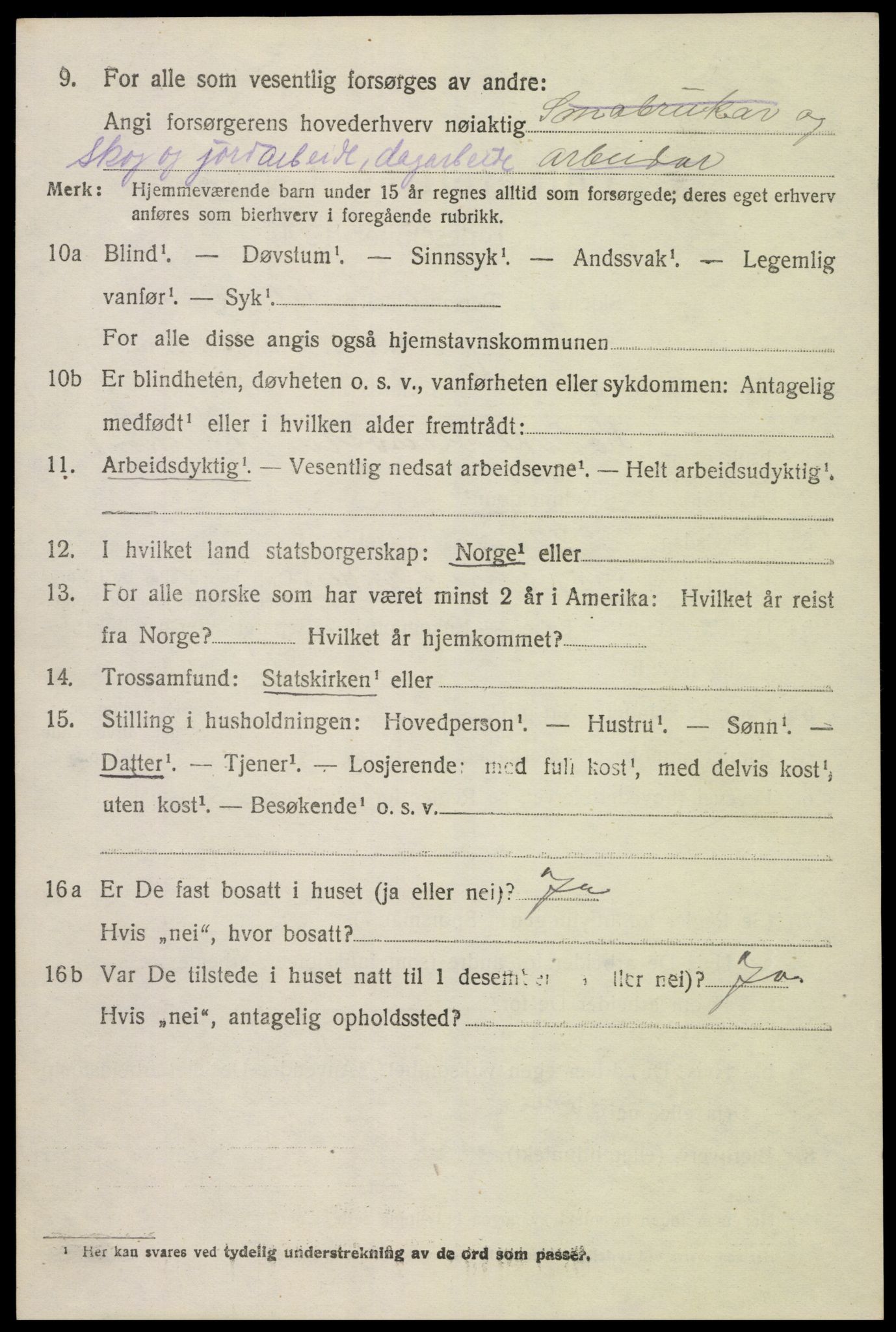 SAK, 1920 census for Hornnes, 1920, p. 1534