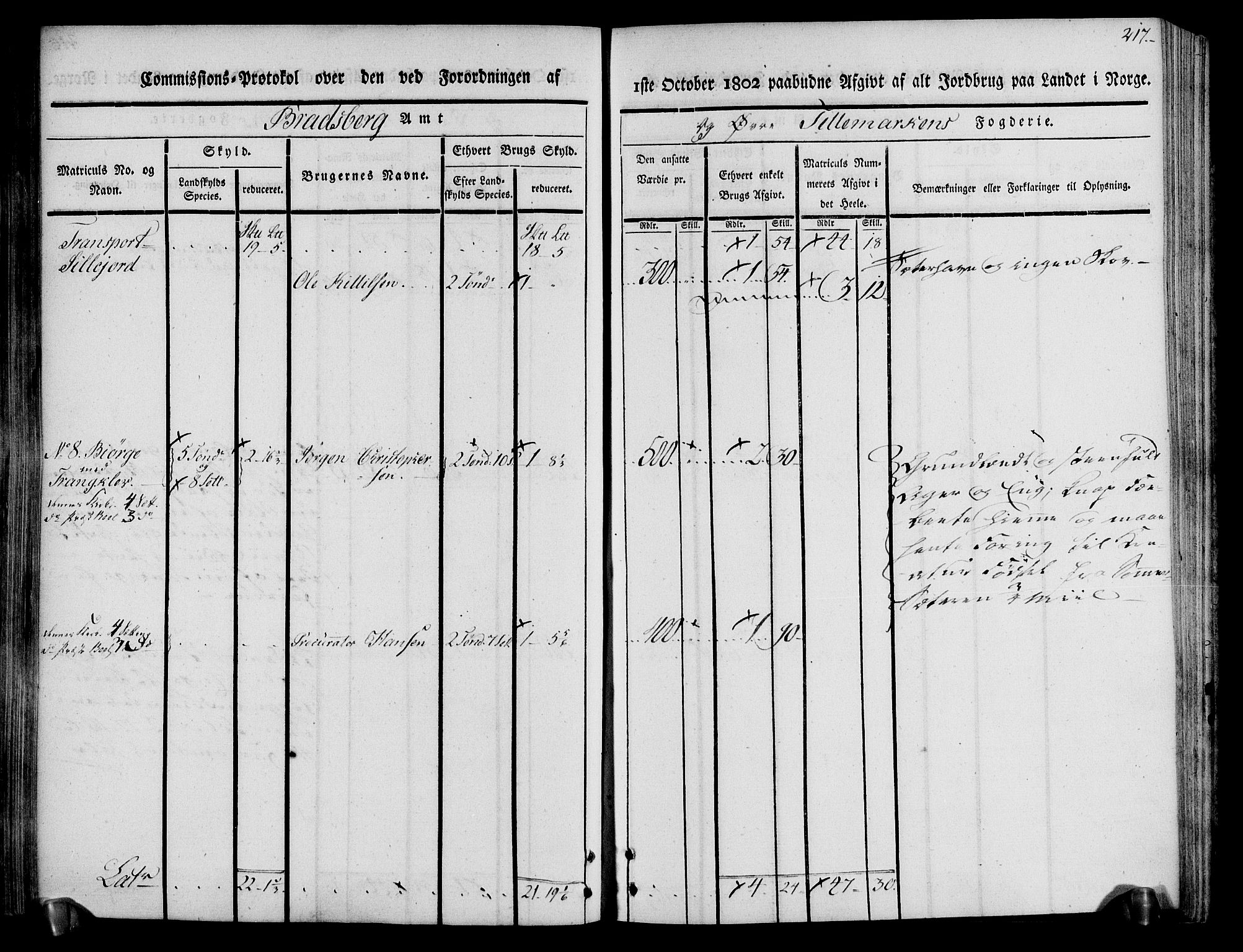 Rentekammeret inntil 1814, Realistisk ordnet avdeling, AV/RA-EA-4070/N/Ne/Nea/L0074: Øvre Telemarken fogderi. Kommisjonsprotokoll for fogderiets østre del - Tinn, Hjartdal og Seljord prestegjeld., 1803, p. 217