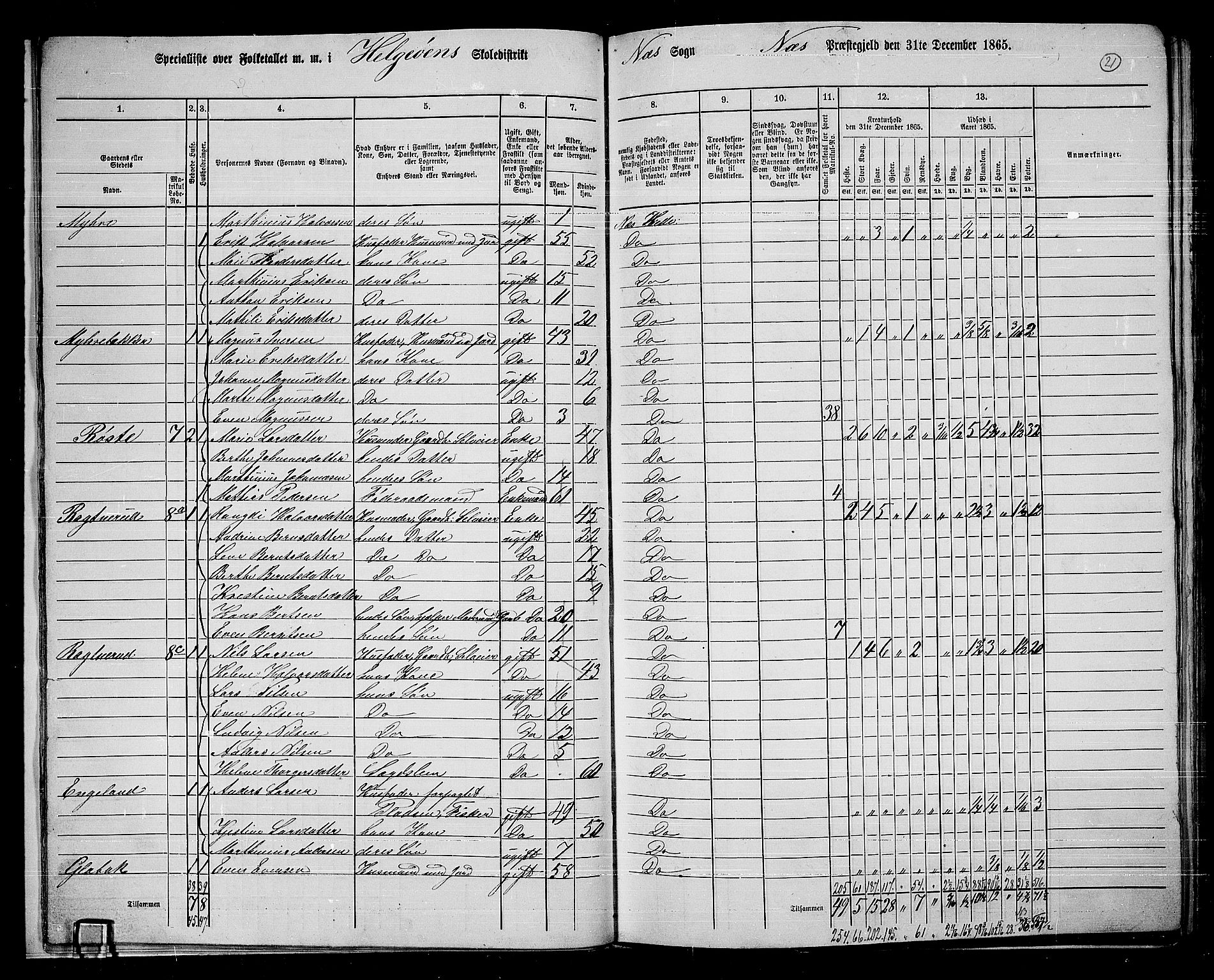 RA, 1865 census for Nes, 1865, p. 19