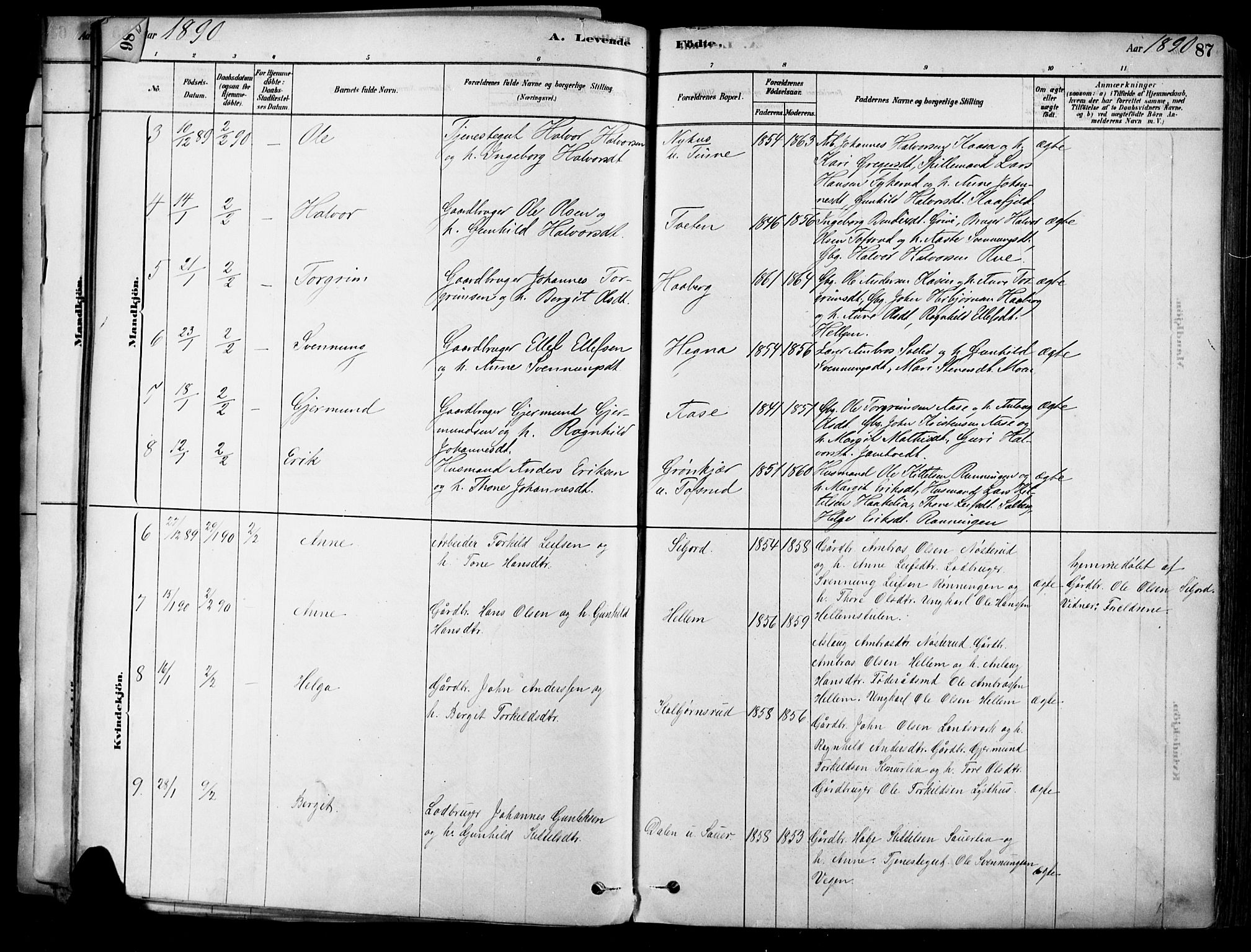 Heddal kirkebøker, SAKO/A-268/F/Fa/L0008: Parish register (official) no. I 8, 1878-1903, p. 87