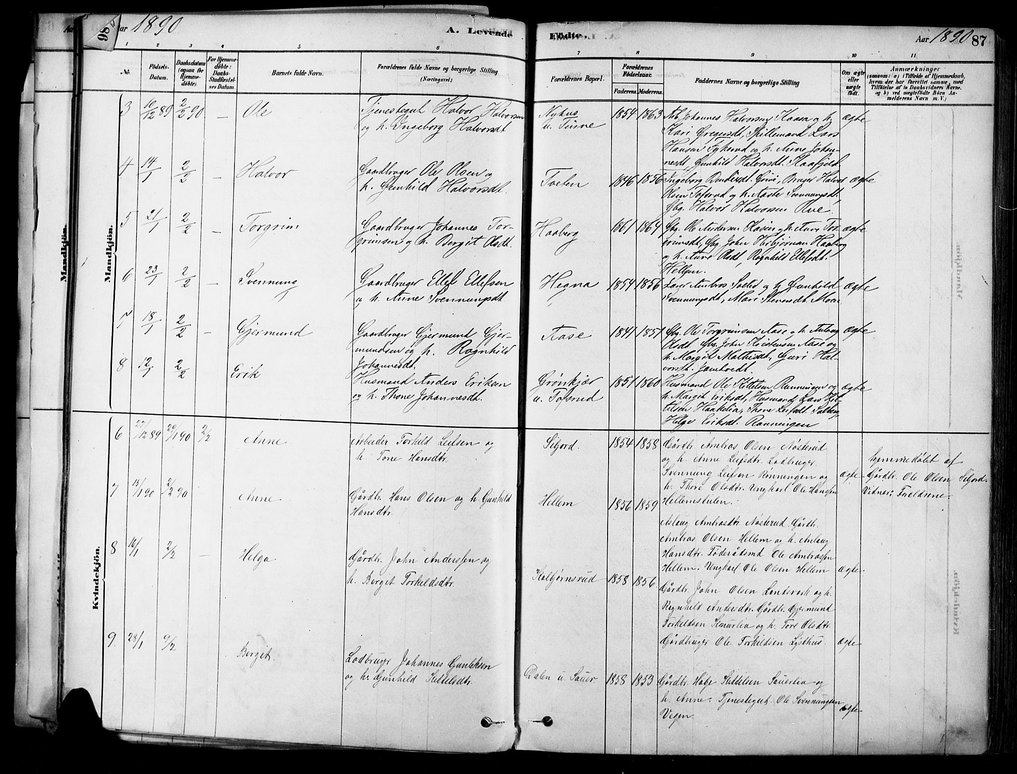 Heddal kirkebøker, AV/SAKO-A-268/F/Fa/L0008: Parish register (official) no. I 8, 1878-1903, p. 87