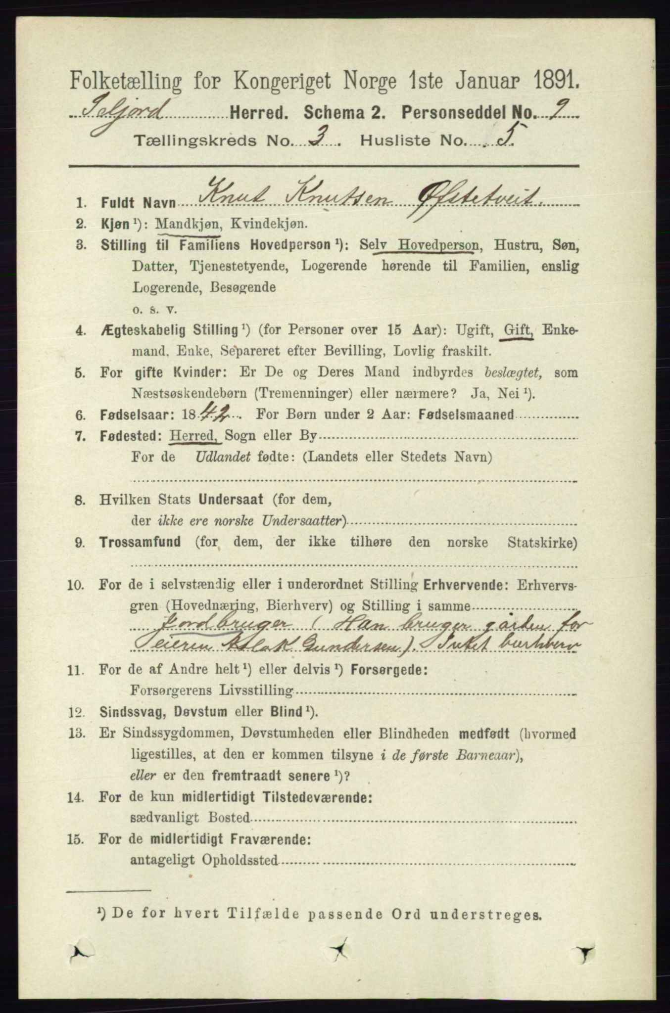 RA, 1891 census for 0828 Seljord, 1891, p. 1006