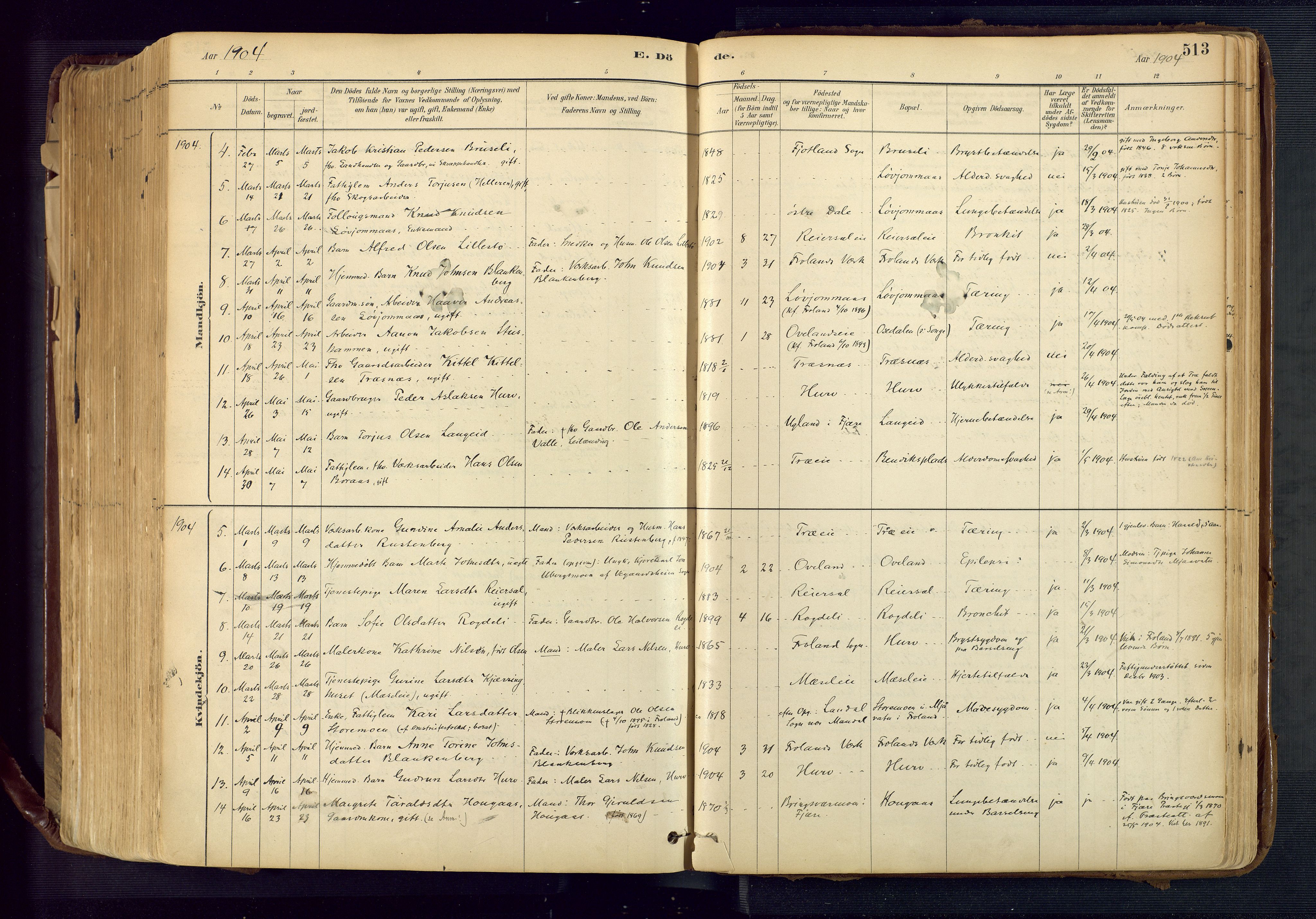 Froland sokneprestkontor, AV/SAK-1111-0013/F/Fa/L0005: Parish register (official) no. A 5, 1882-1921, p. 513