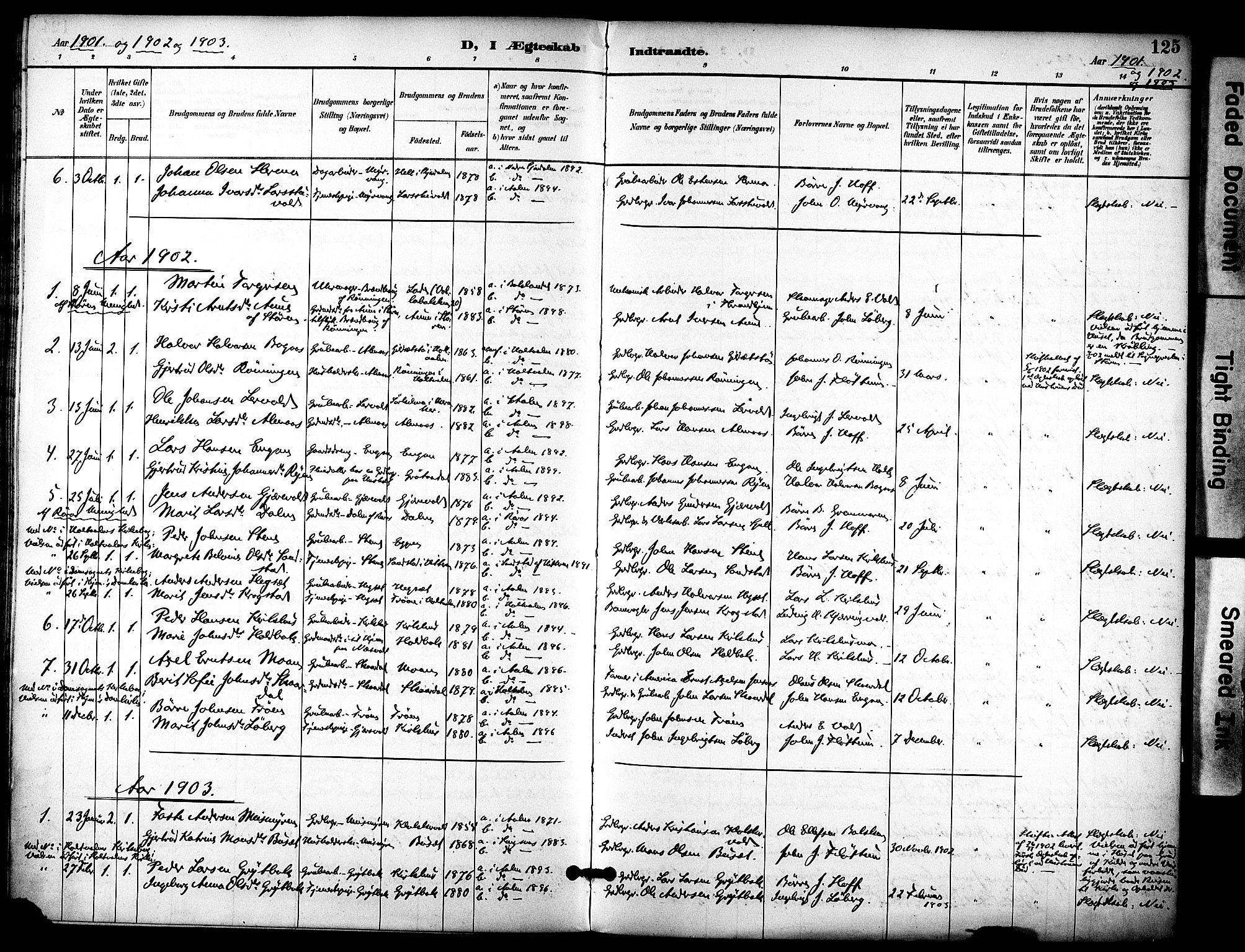 Ministerialprotokoller, klokkerbøker og fødselsregistre - Sør-Trøndelag, SAT/A-1456/686/L0984: Parish register (official) no. 686A02, 1891-1906, p. 125