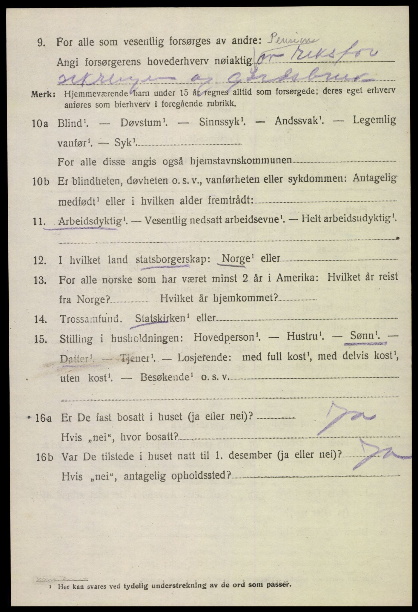 SAK, 1920 census for Hornnes, 1920, p. 696