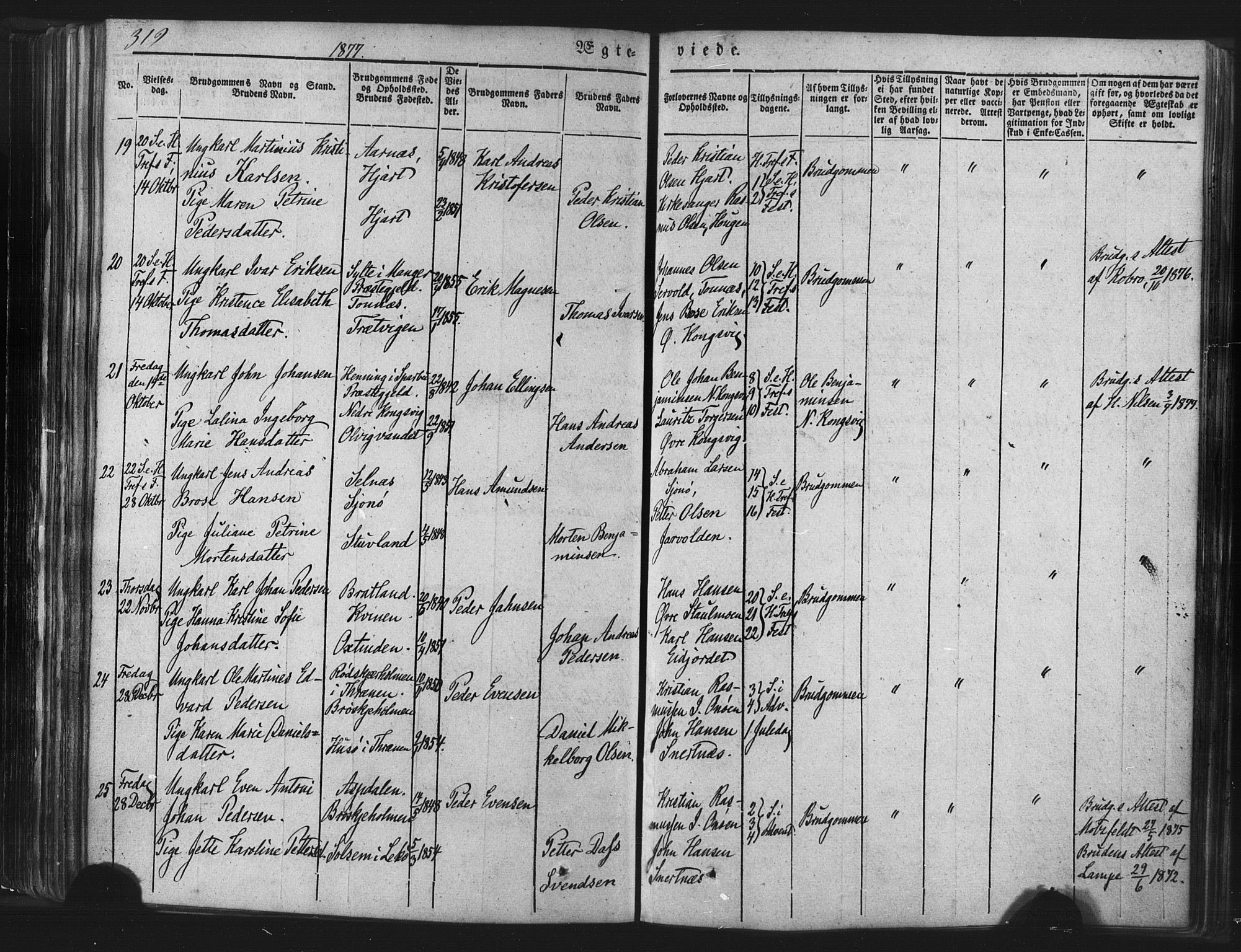 Ministerialprotokoller, klokkerbøker og fødselsregistre - Nordland, AV/SAT-A-1459/839/L0567: Parish register (official) no. 839A04, 1863-1879, p. 319