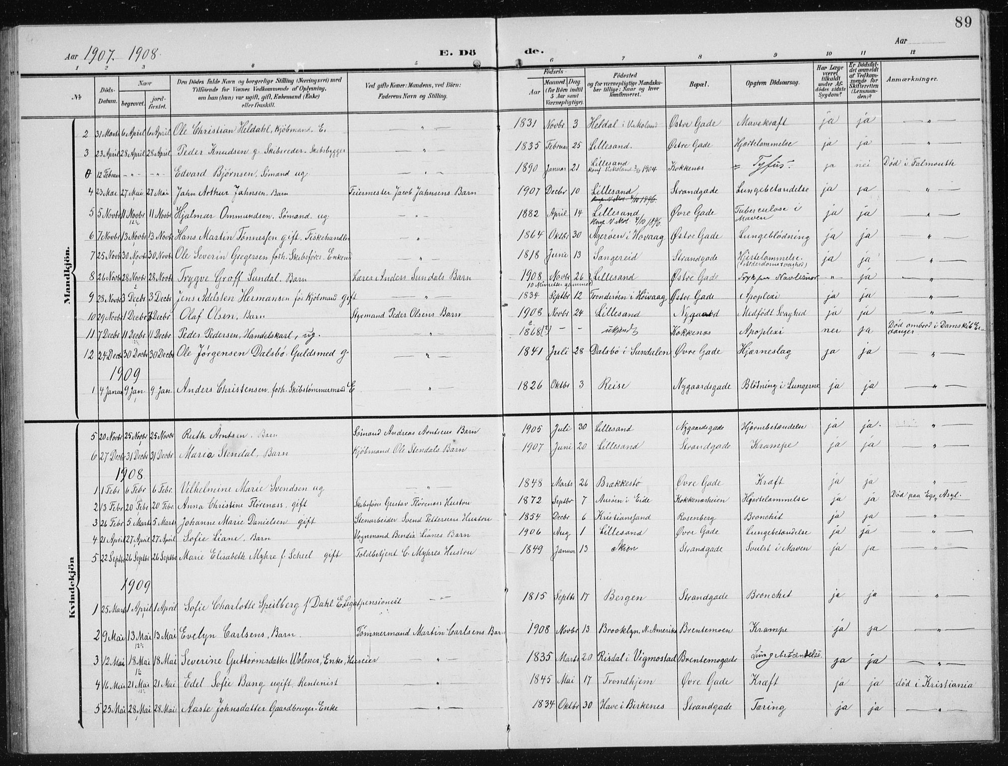 Vestre Moland sokneprestkontor, AV/SAK-1111-0046/F/Fb/Fba/L0002: Parish register (copy) no. B 2, 1904-1934, p. 89